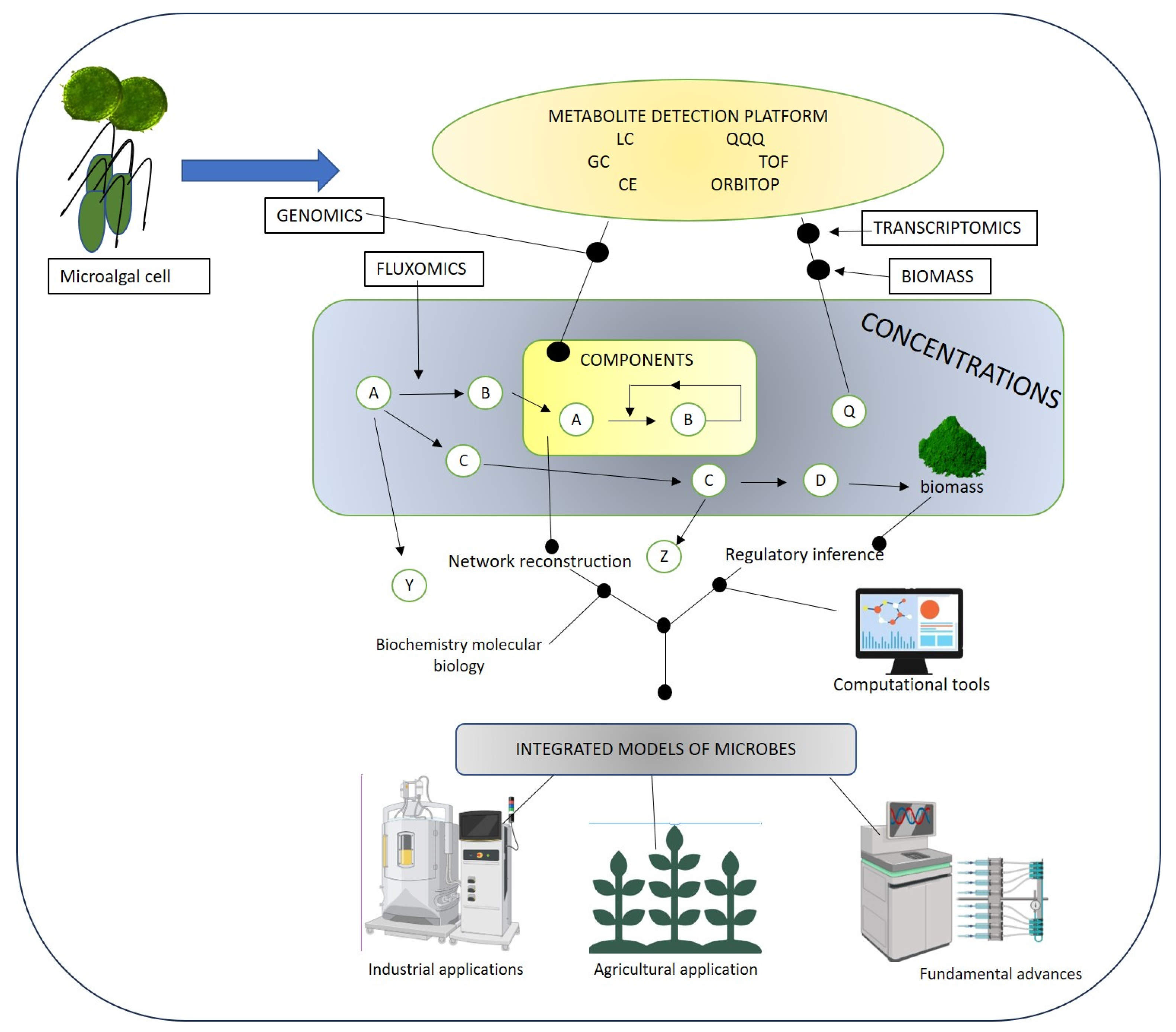 Microbiolres 15 00138 g003