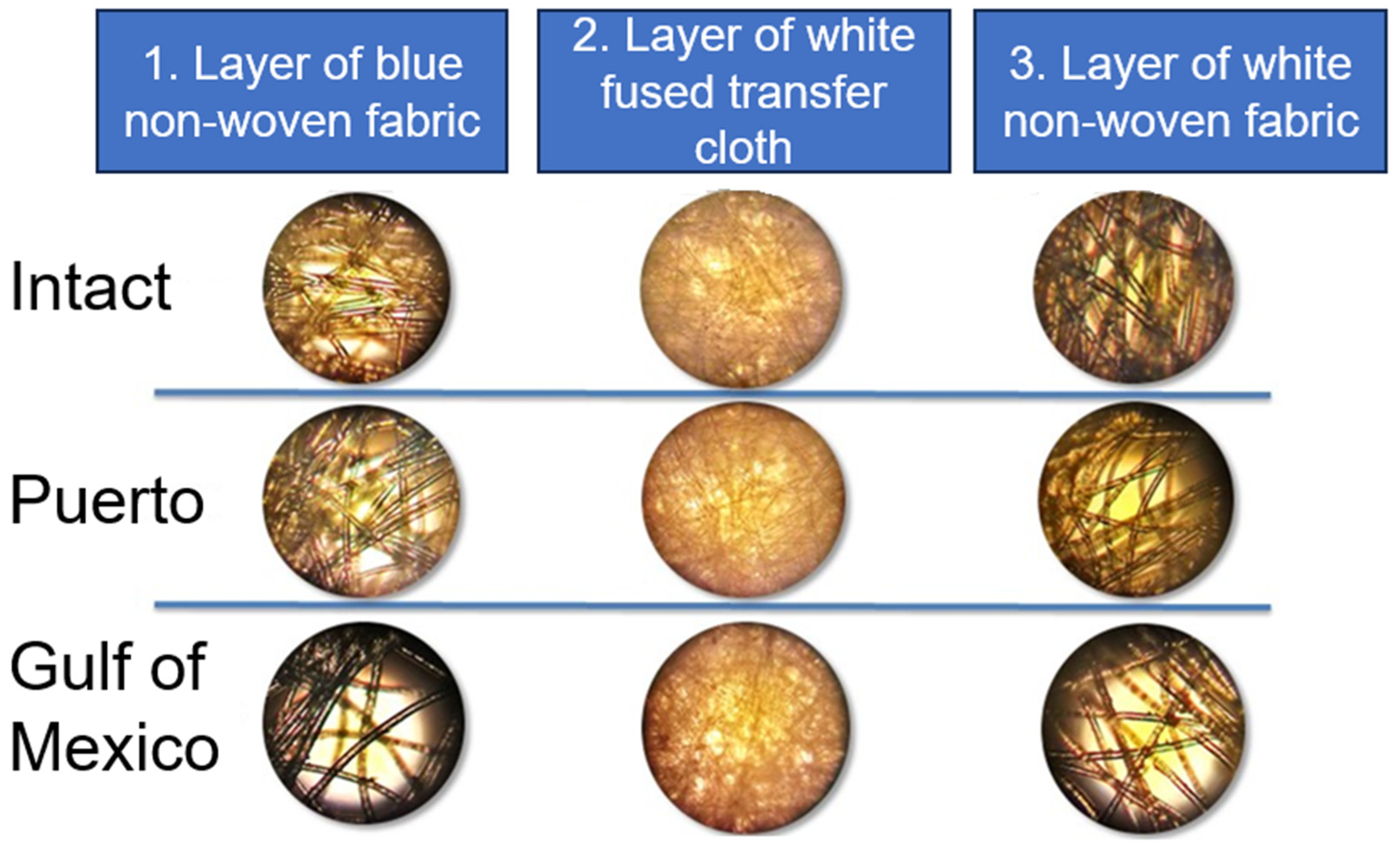 Microbiolres 15 00139 g001 Microbiolres 15 00139 g001