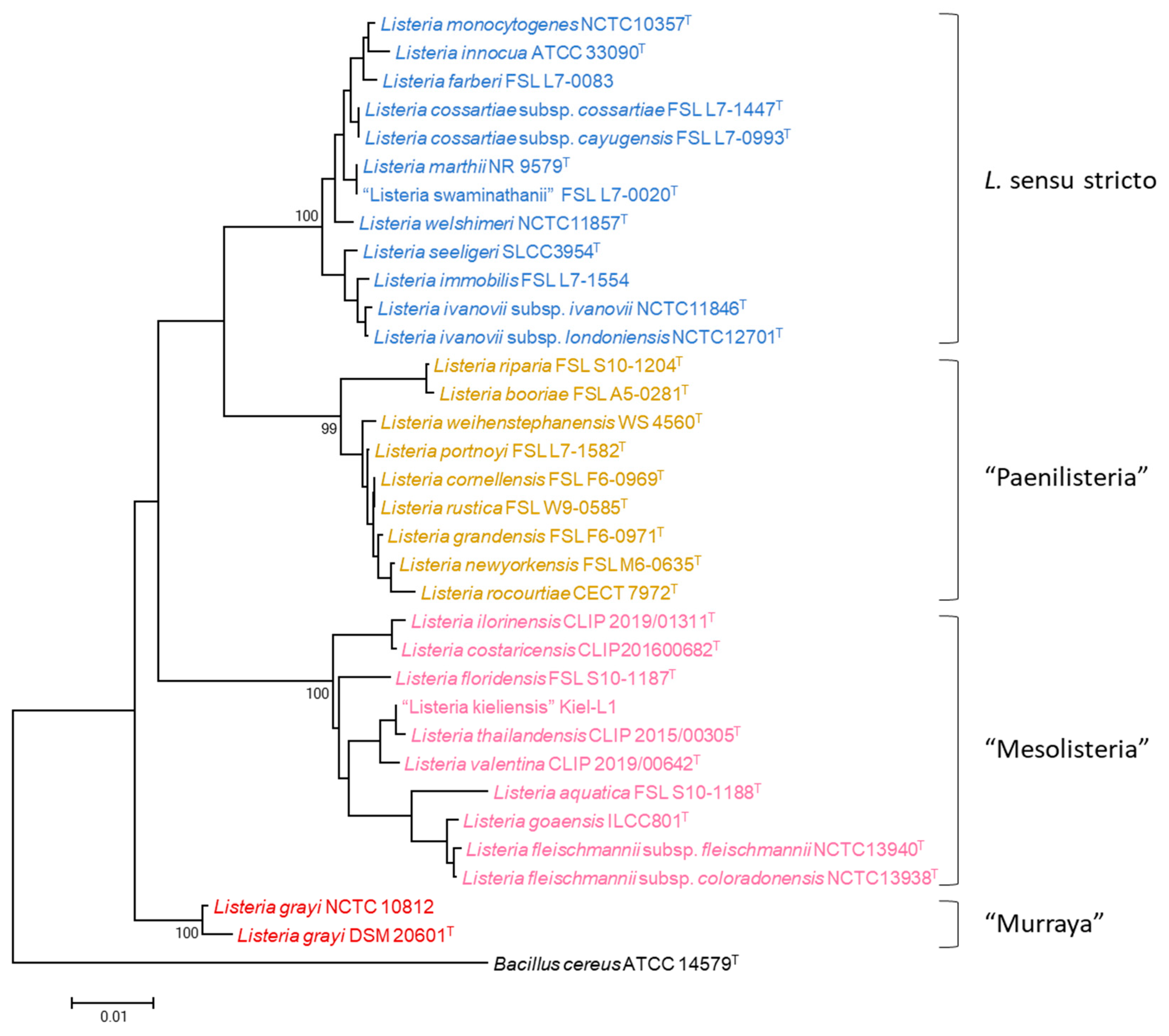 Microbiolres 15 00142 g001 Microbiolres 15 00142 g001