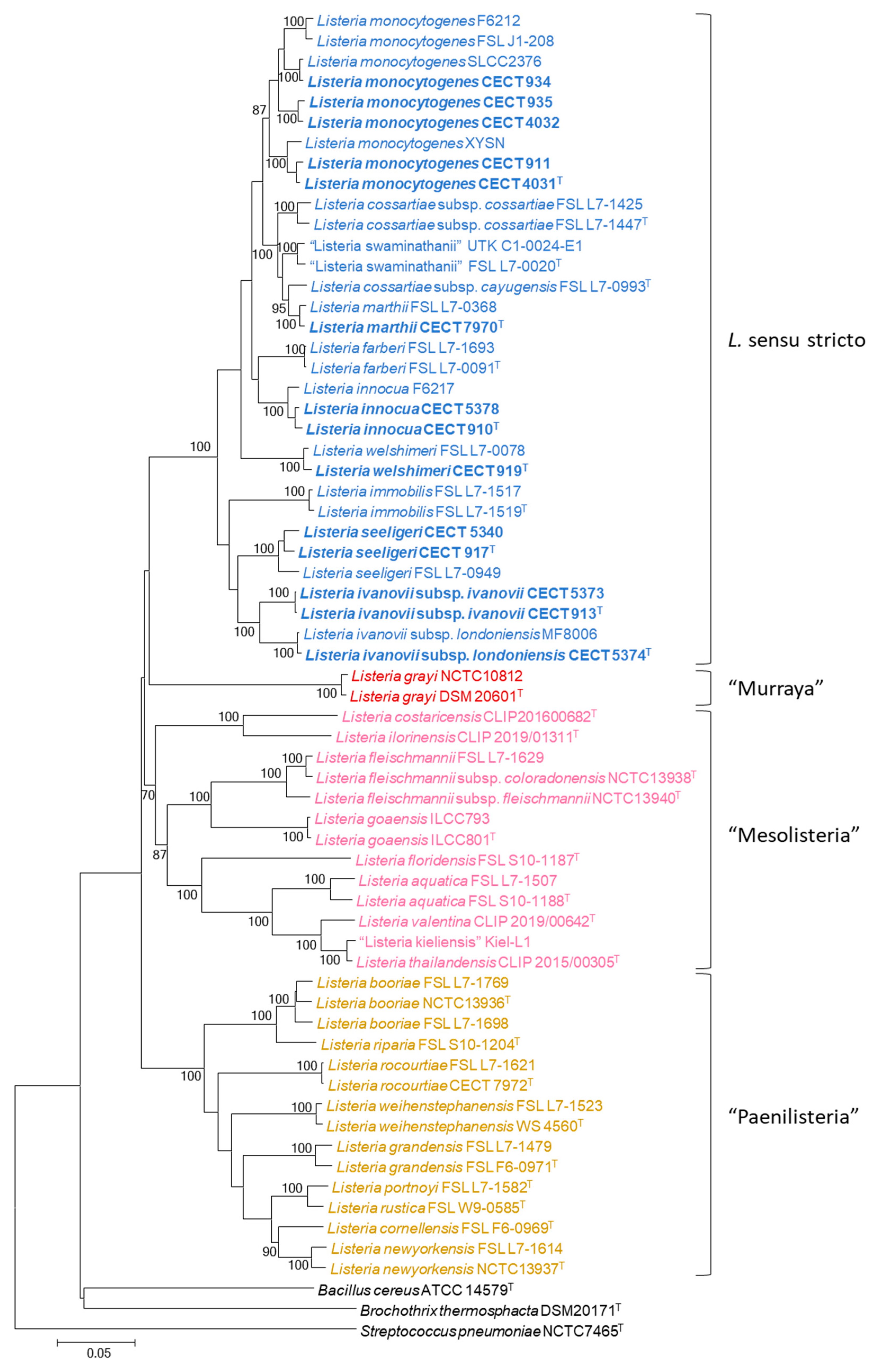Microbiolres 15 00142 g002 Microbiolres 15 00142 g002