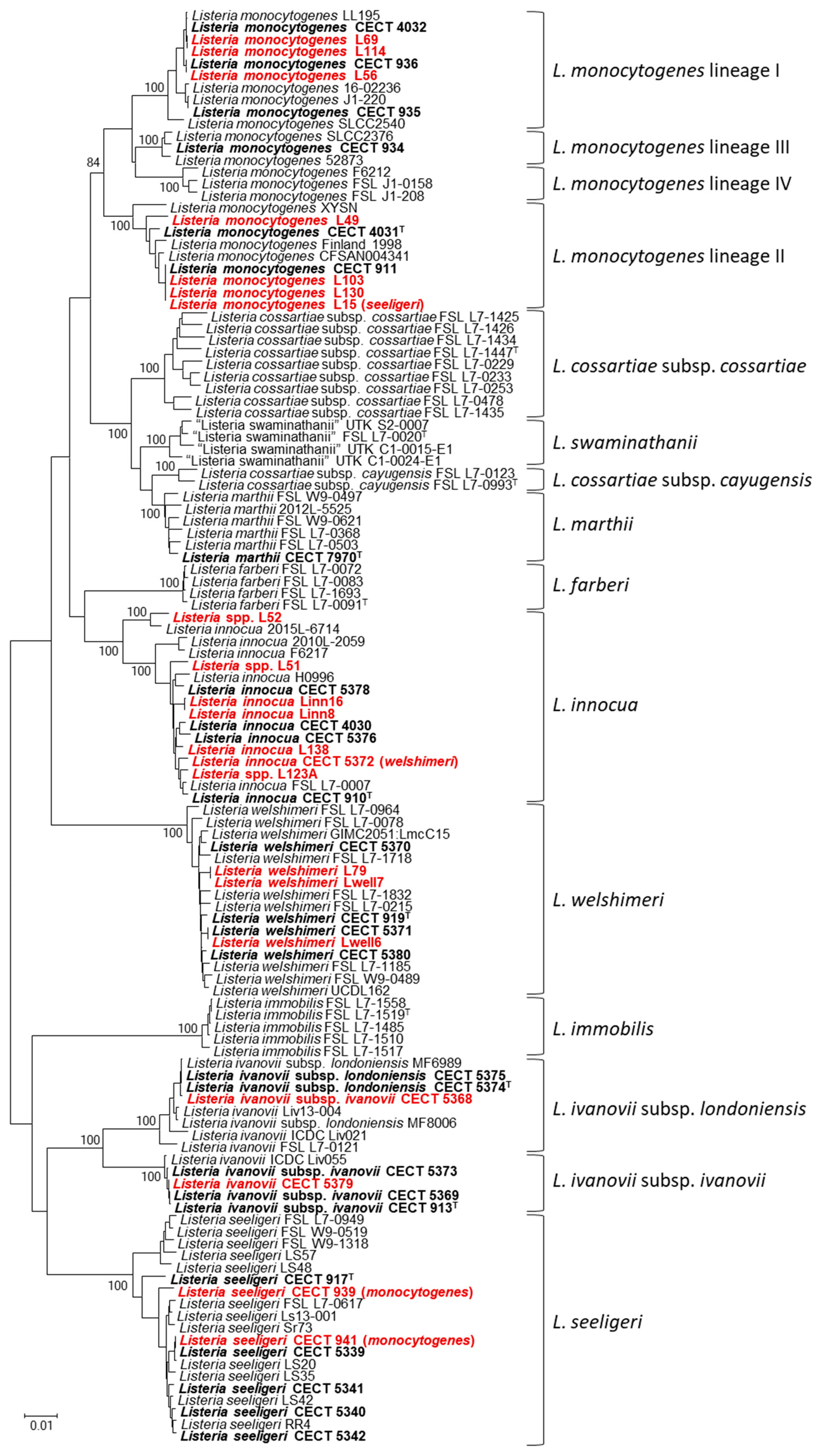Microbiolres 15 00142 g004 Microbiolres 15 00142 g004