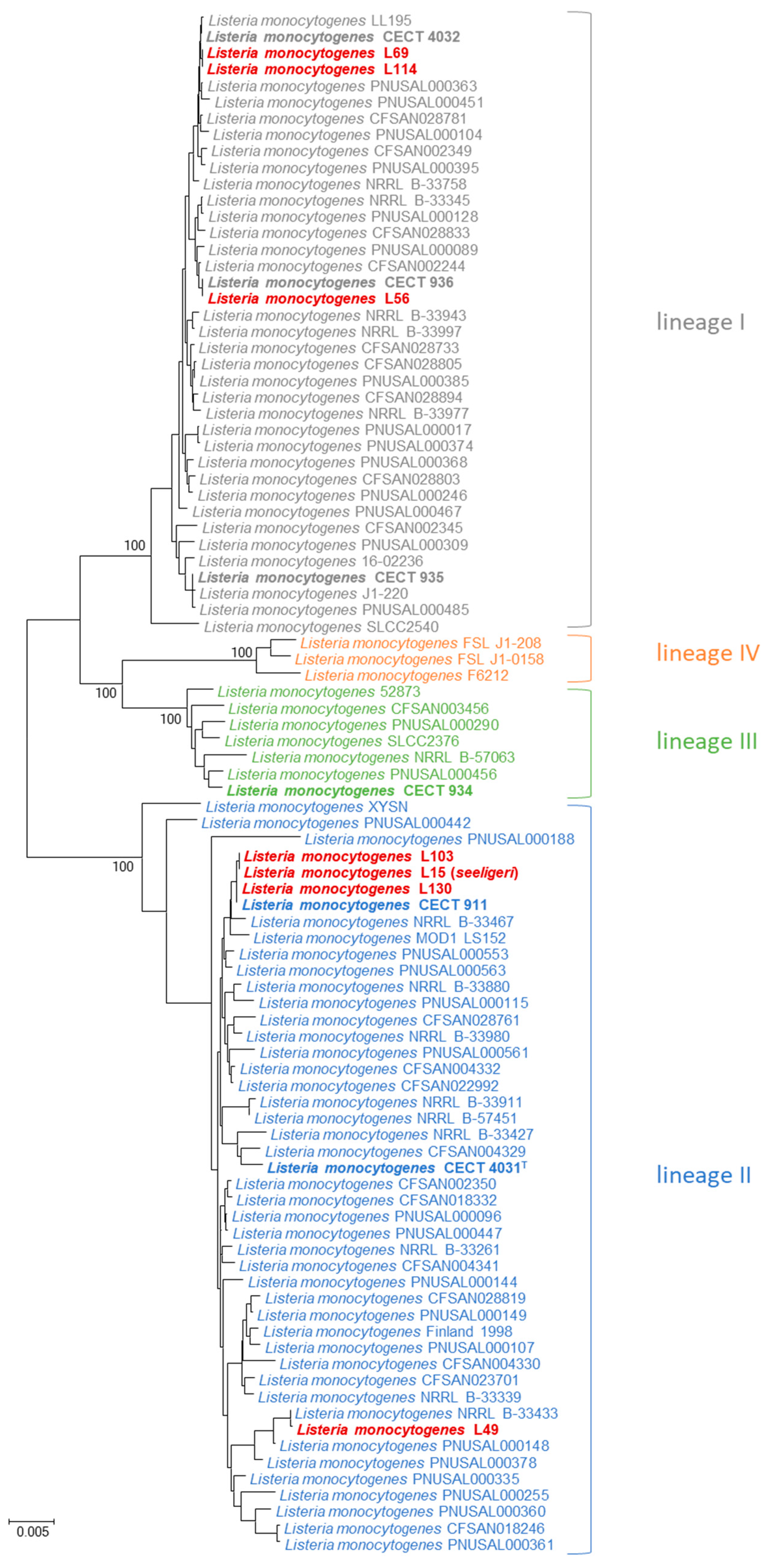 Microbiolres 15 00142 g005 Microbiolres 15 00142 g005