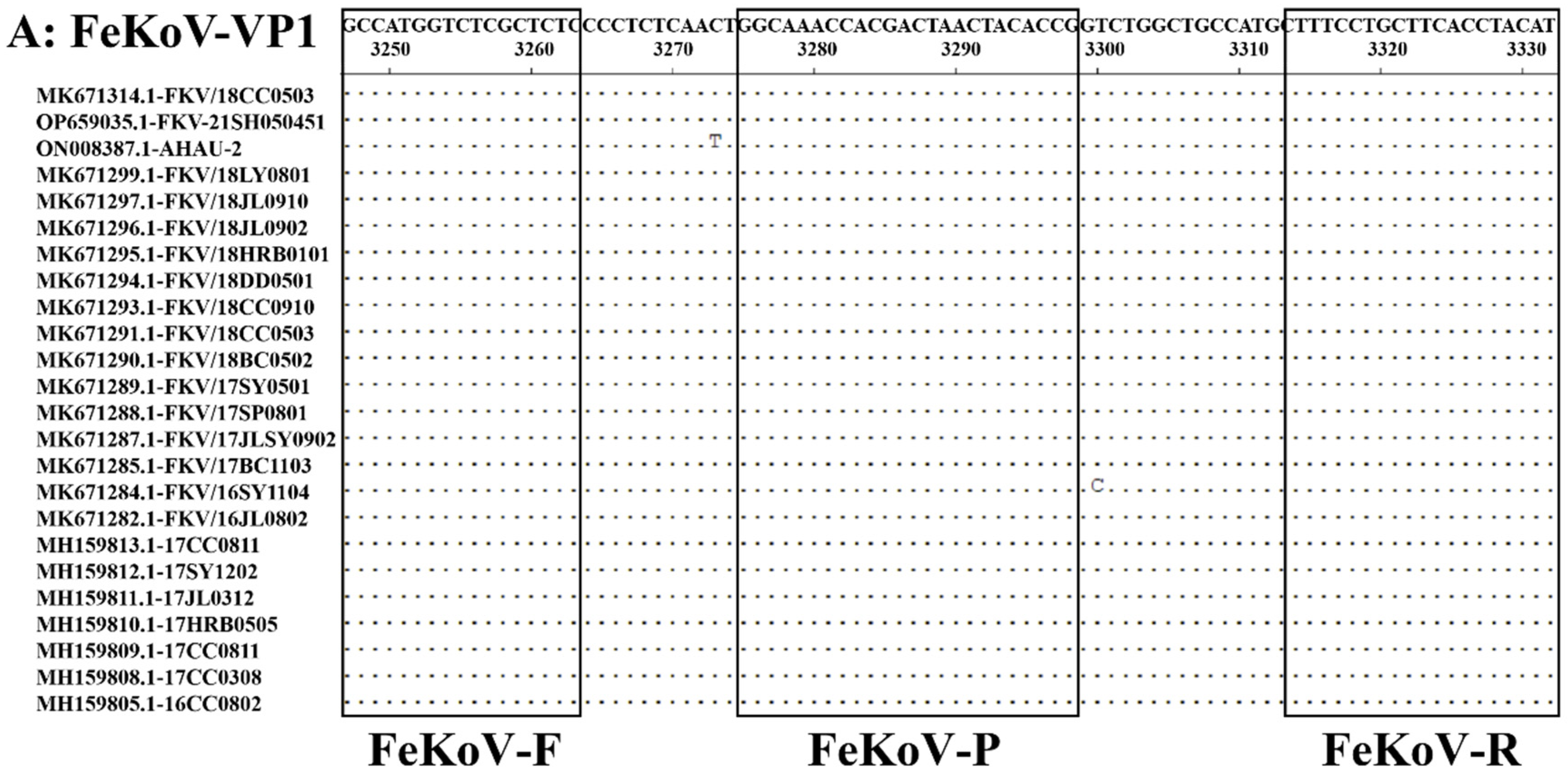 Microbiolres 15 00143 g001a