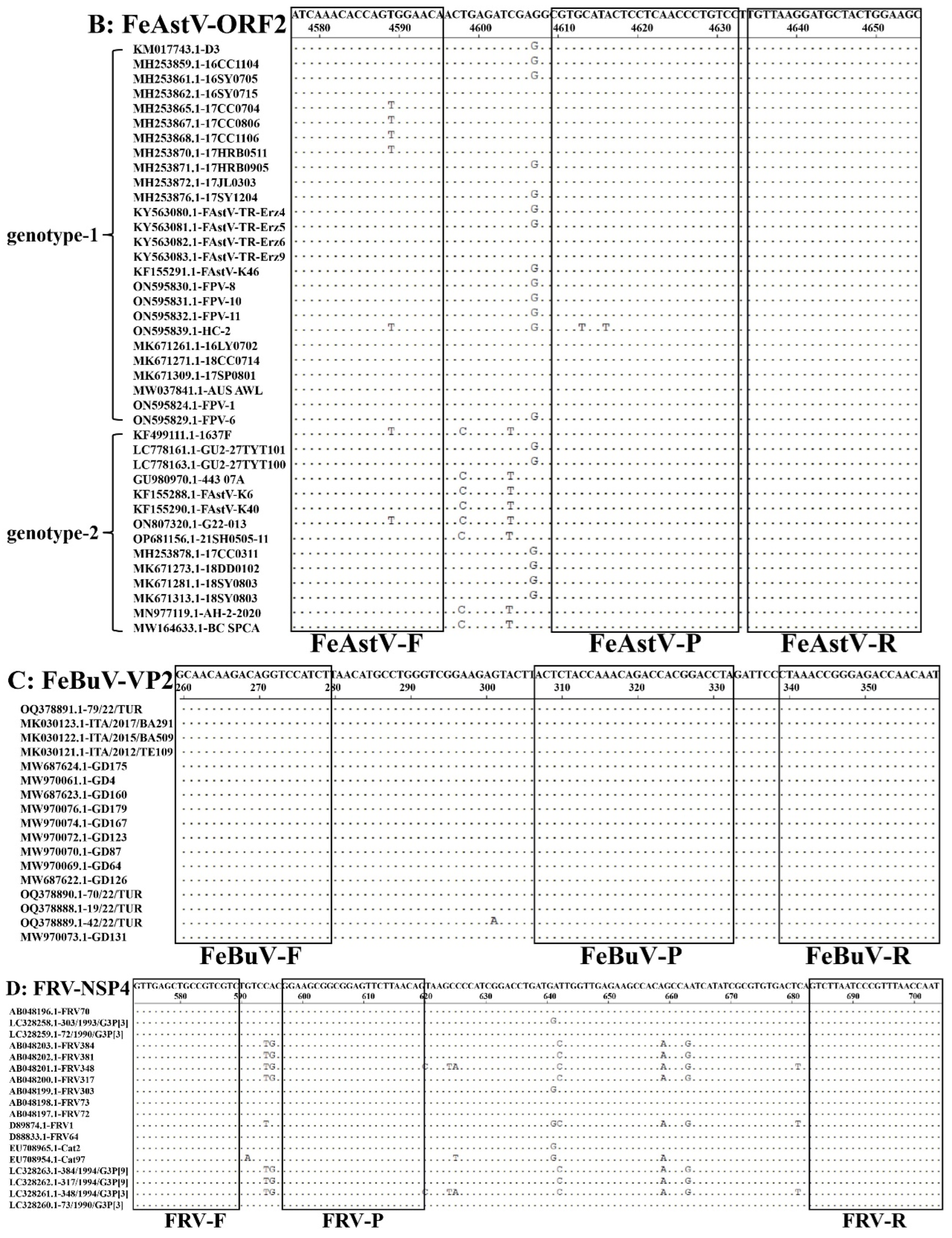 Microbiolres 15 00143 g001b