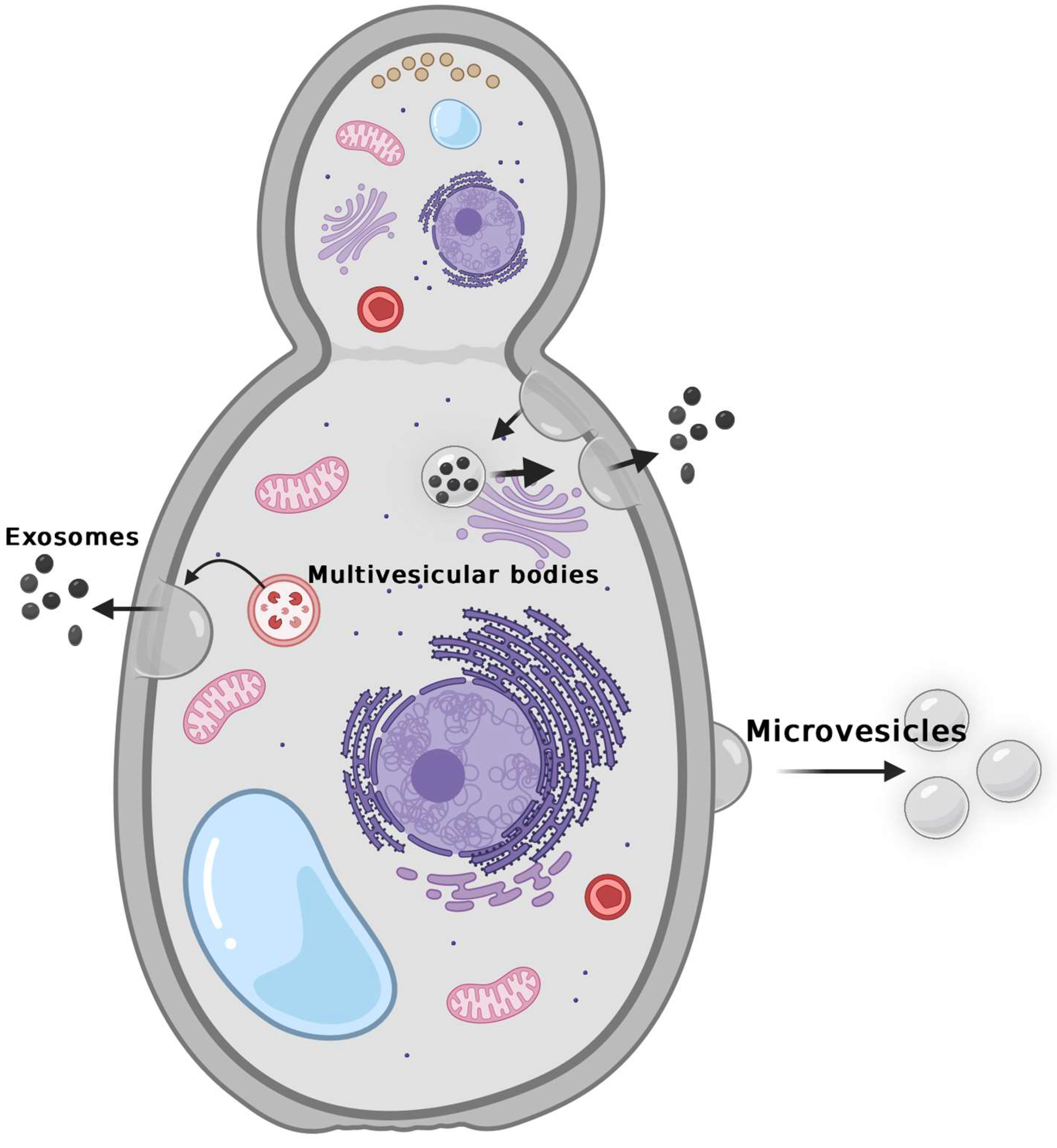 Microbiolres 15 00144 g001