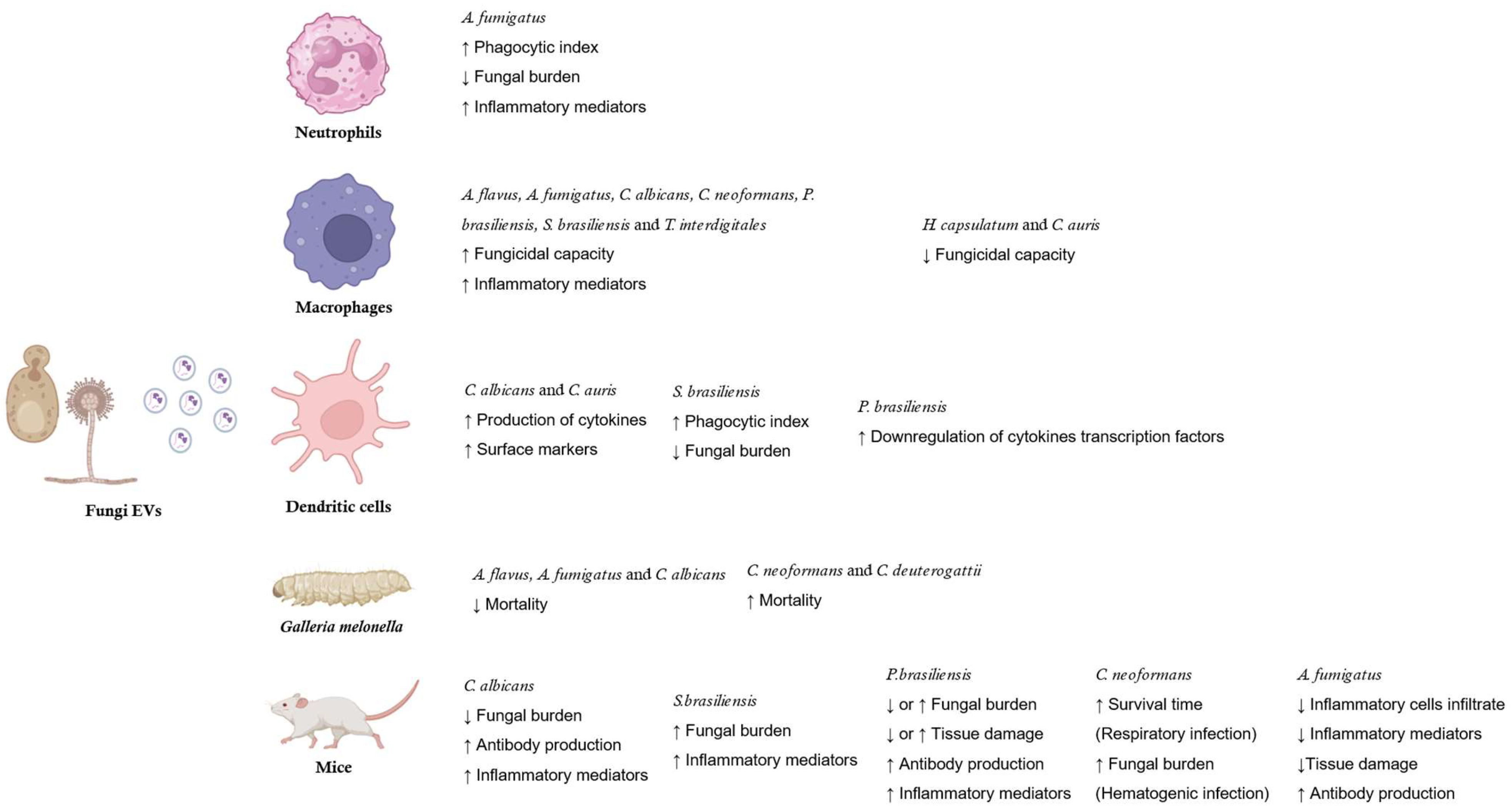 Microbiolres 15 00144 g003