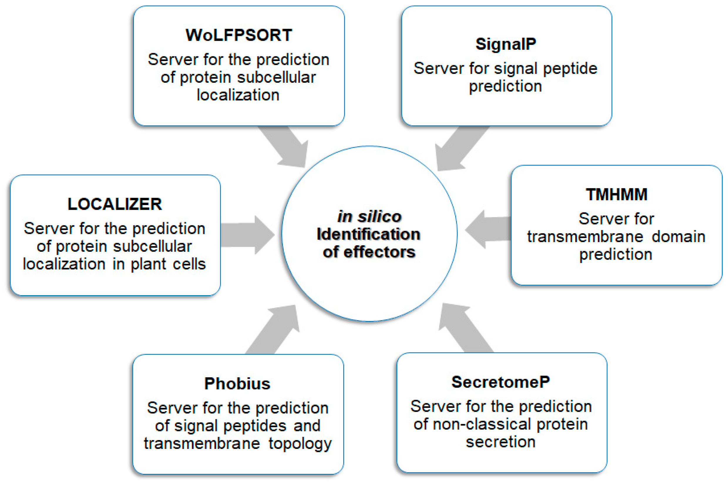 Microbiolres 15 00145 g004