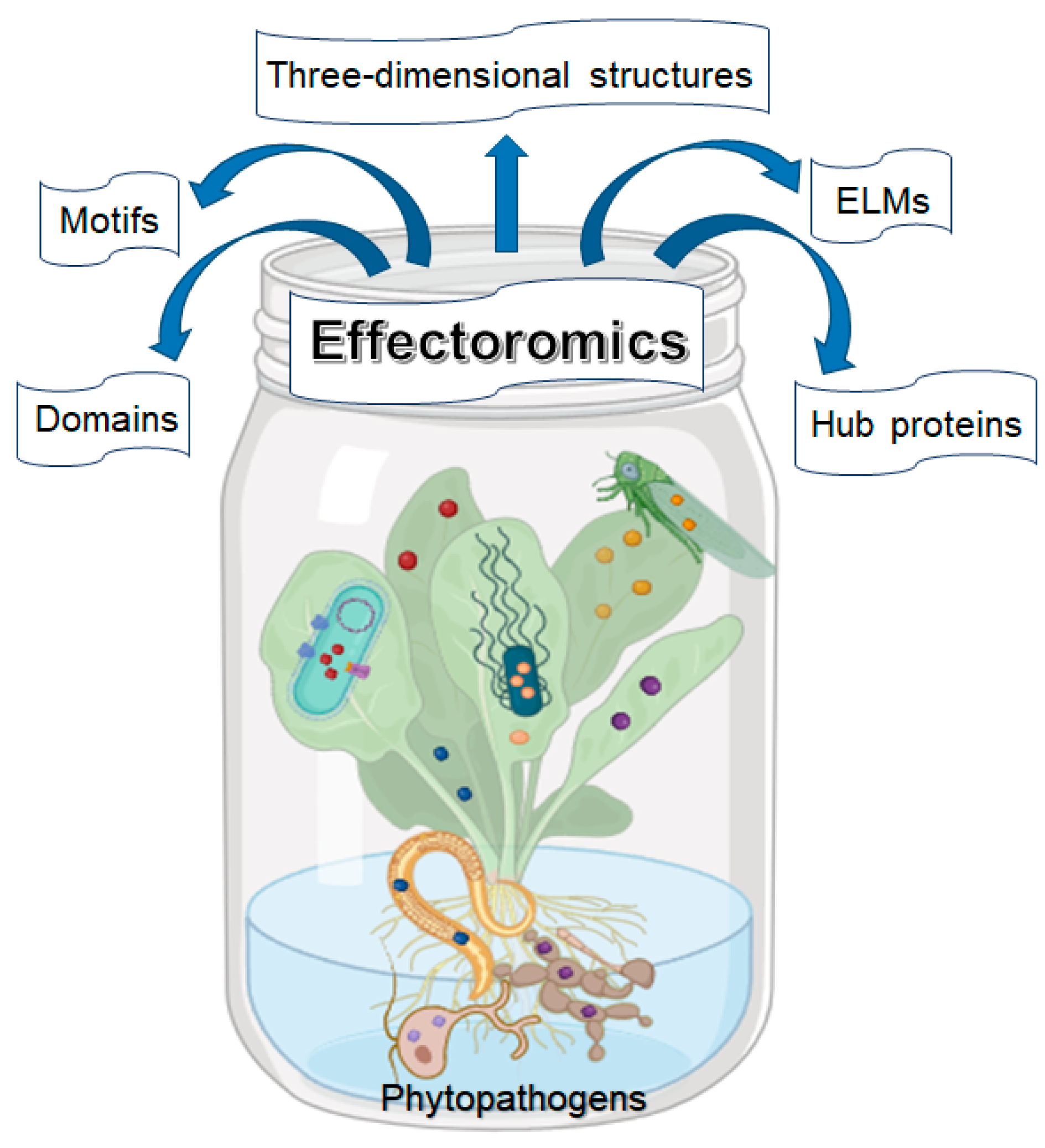 Microbiolres 15 00145 g005