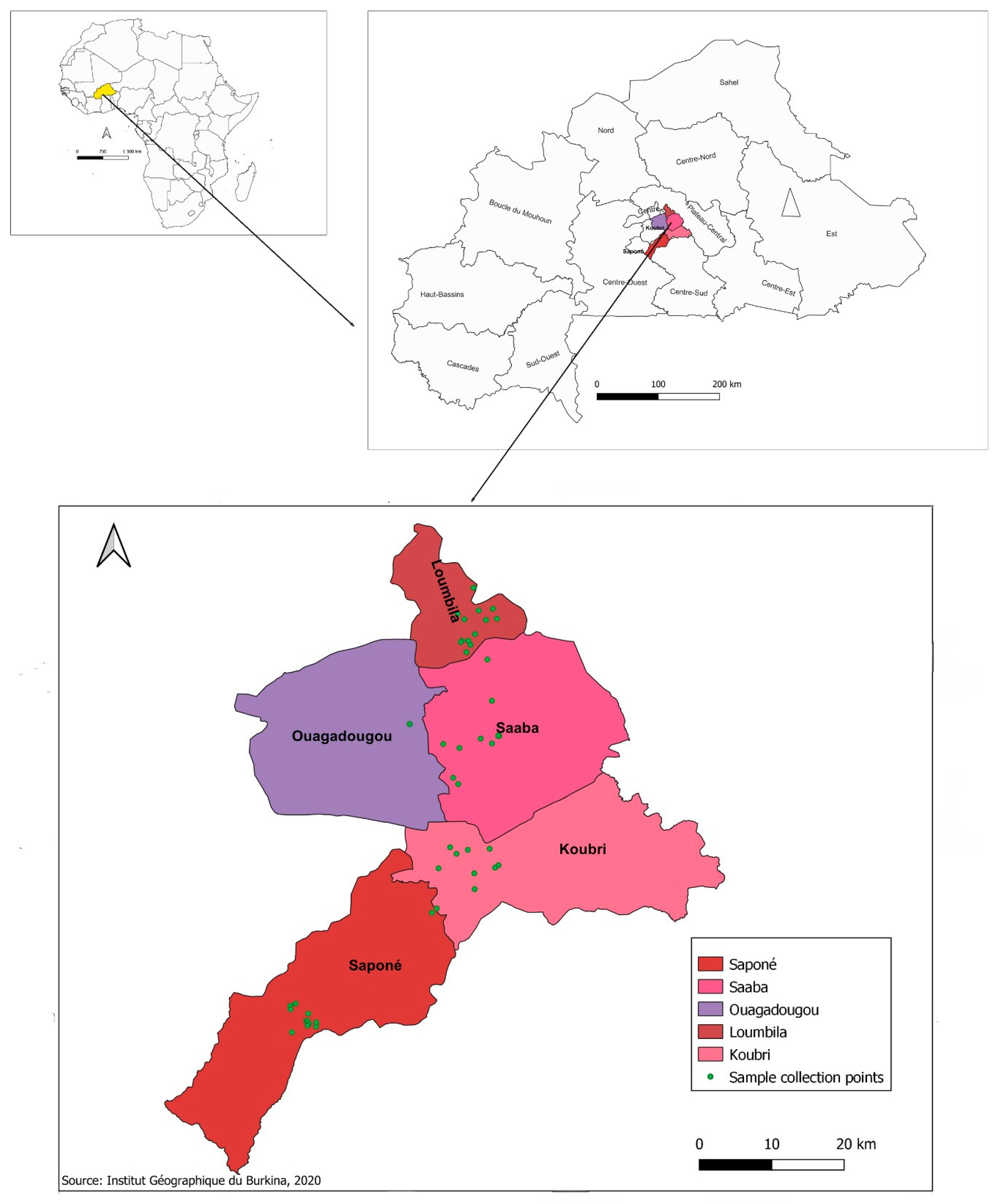 Microbiolres 15 00153 g001 Microbiolres 15 00153 g001