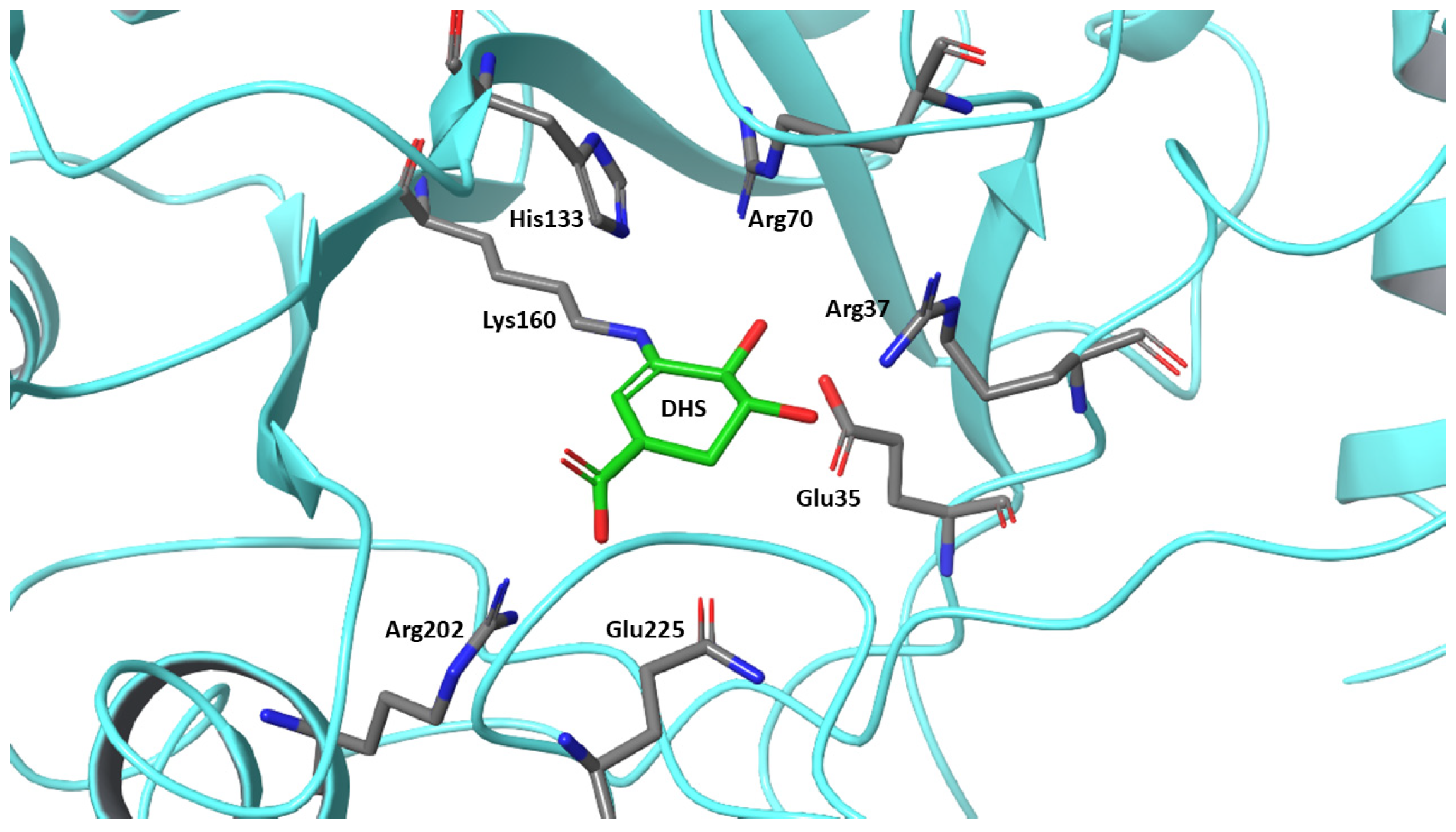 Microbiolres 15 00155 g002