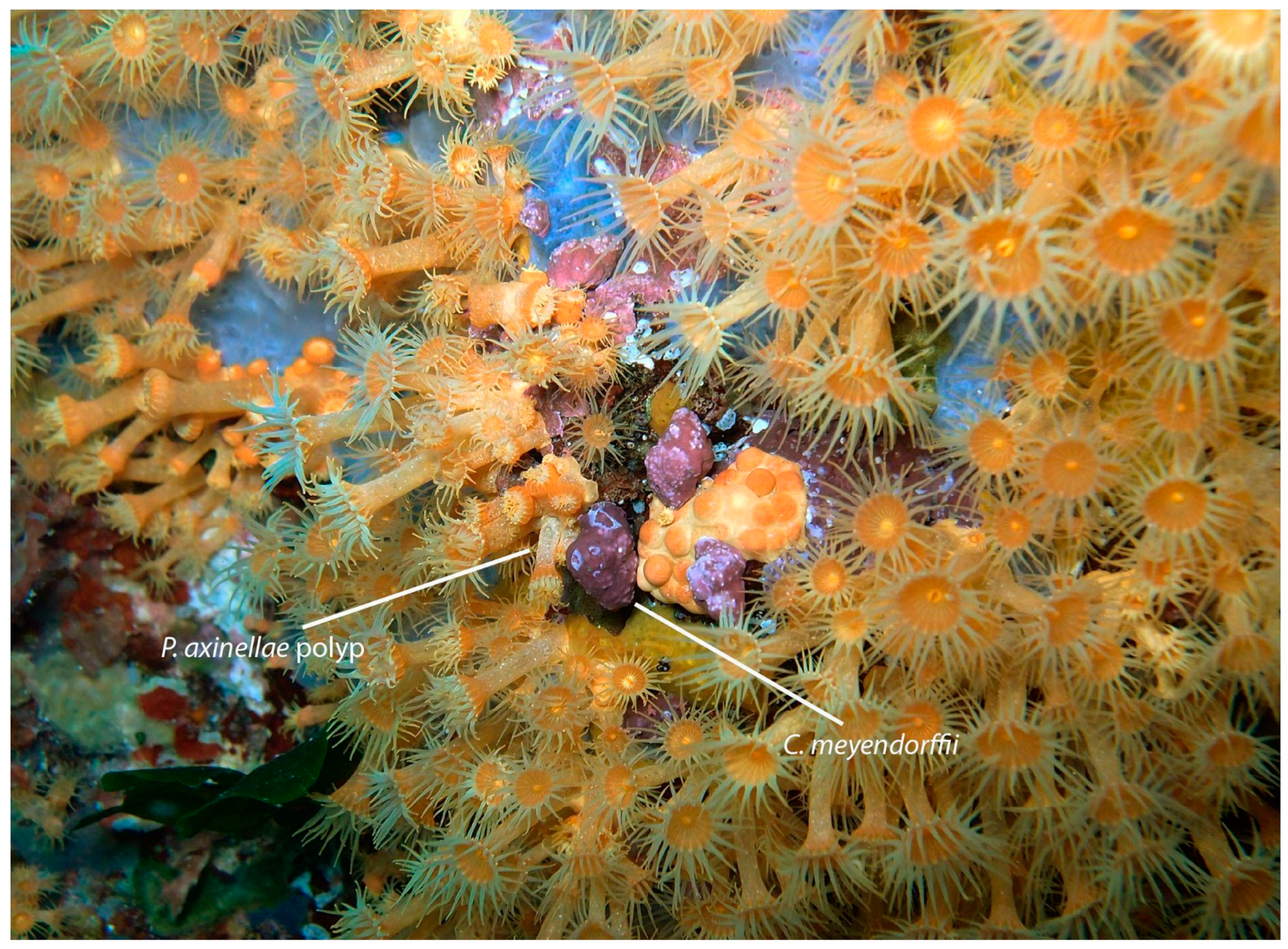 Microbiolres 15 00157 g001