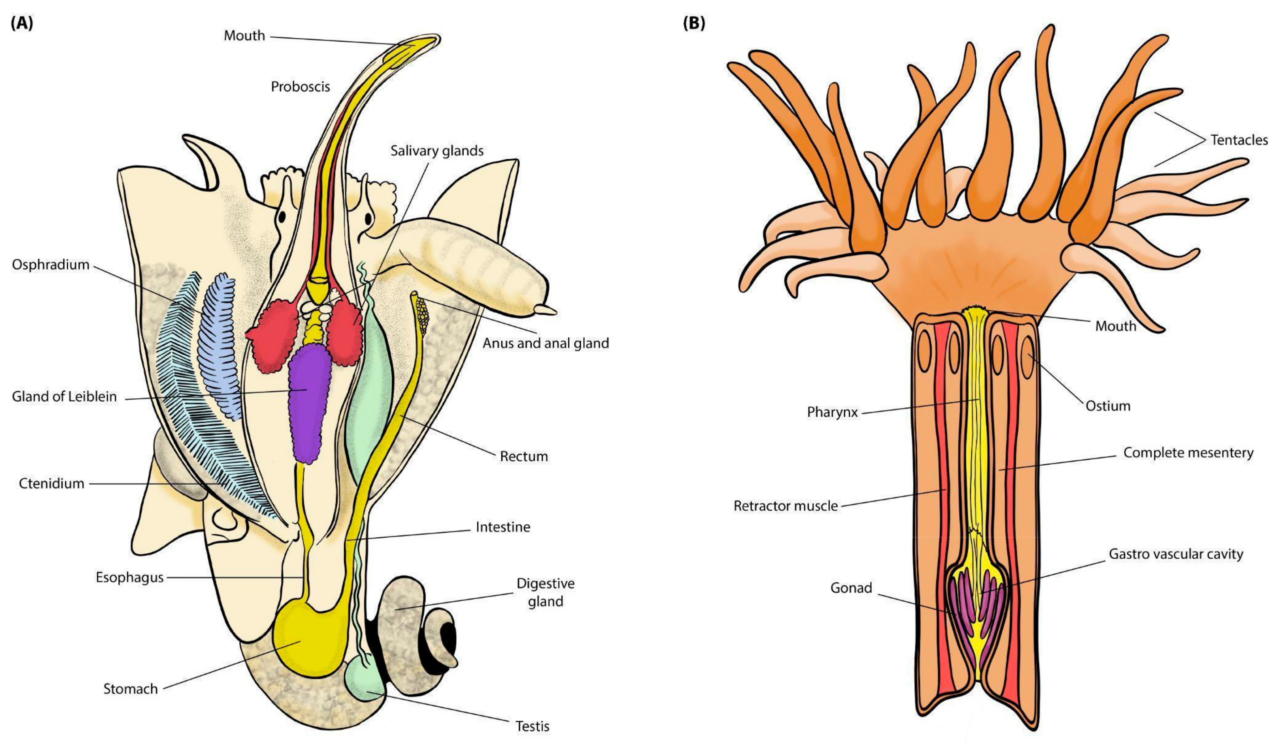 Microbiolres 15 00157 g002