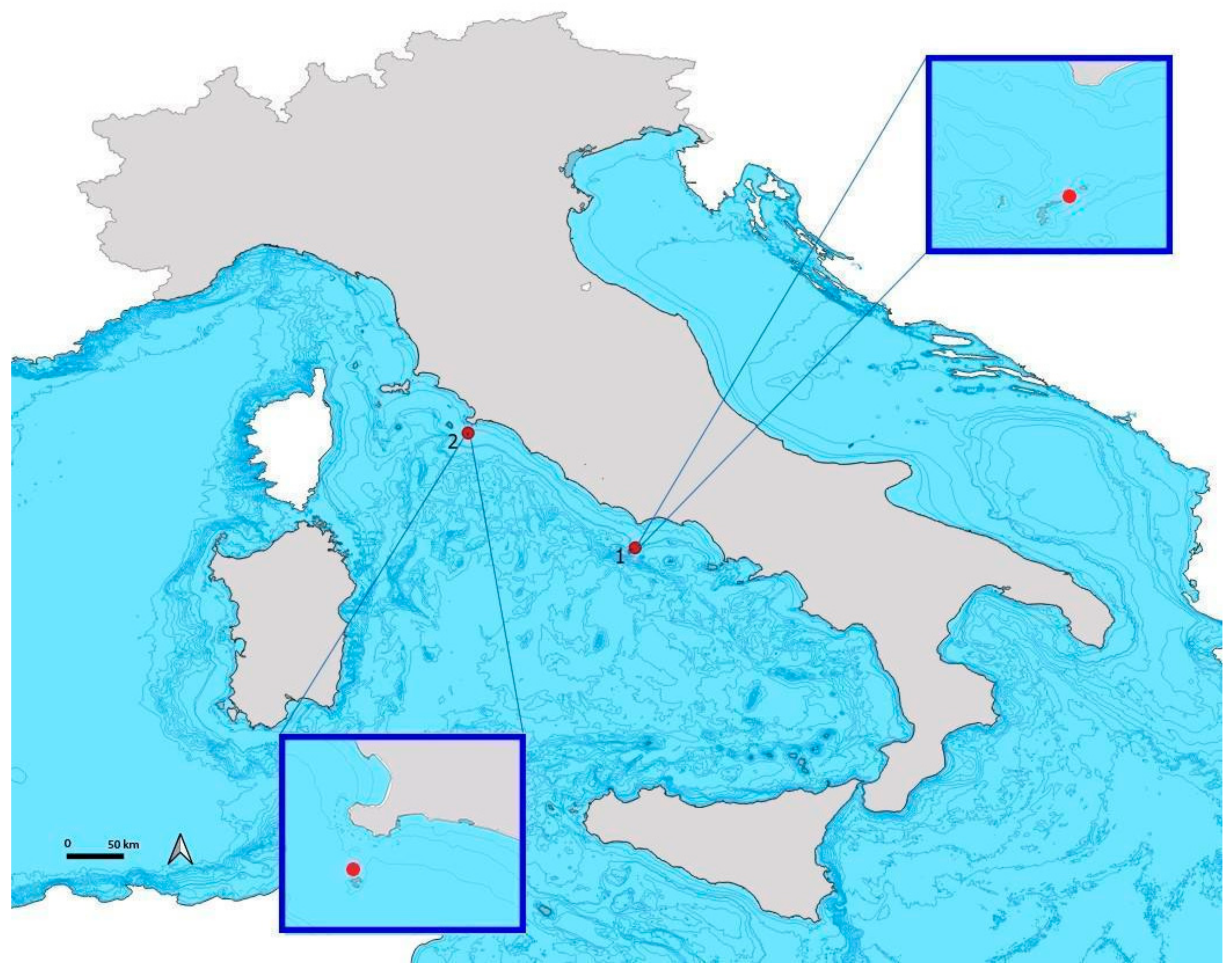 Microbiolres 15 00157 g003