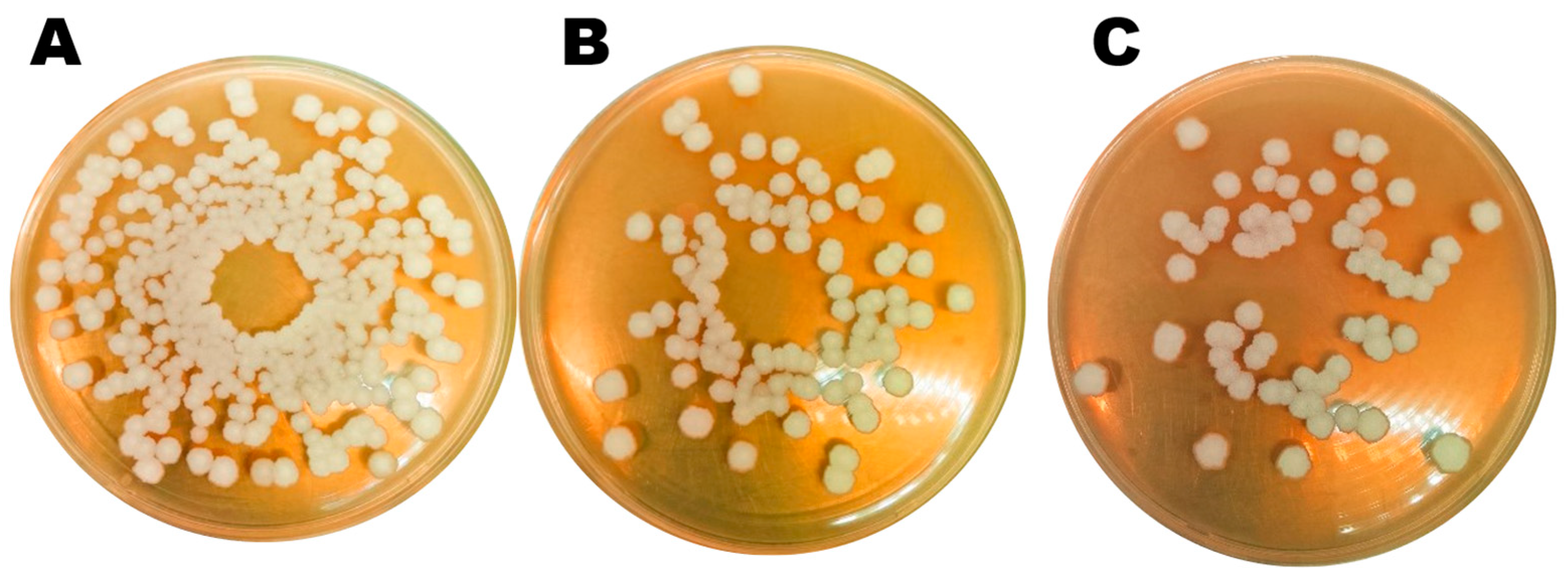 Microbiolres 15 00159 g002 Microbiolres 15 00159 g002
