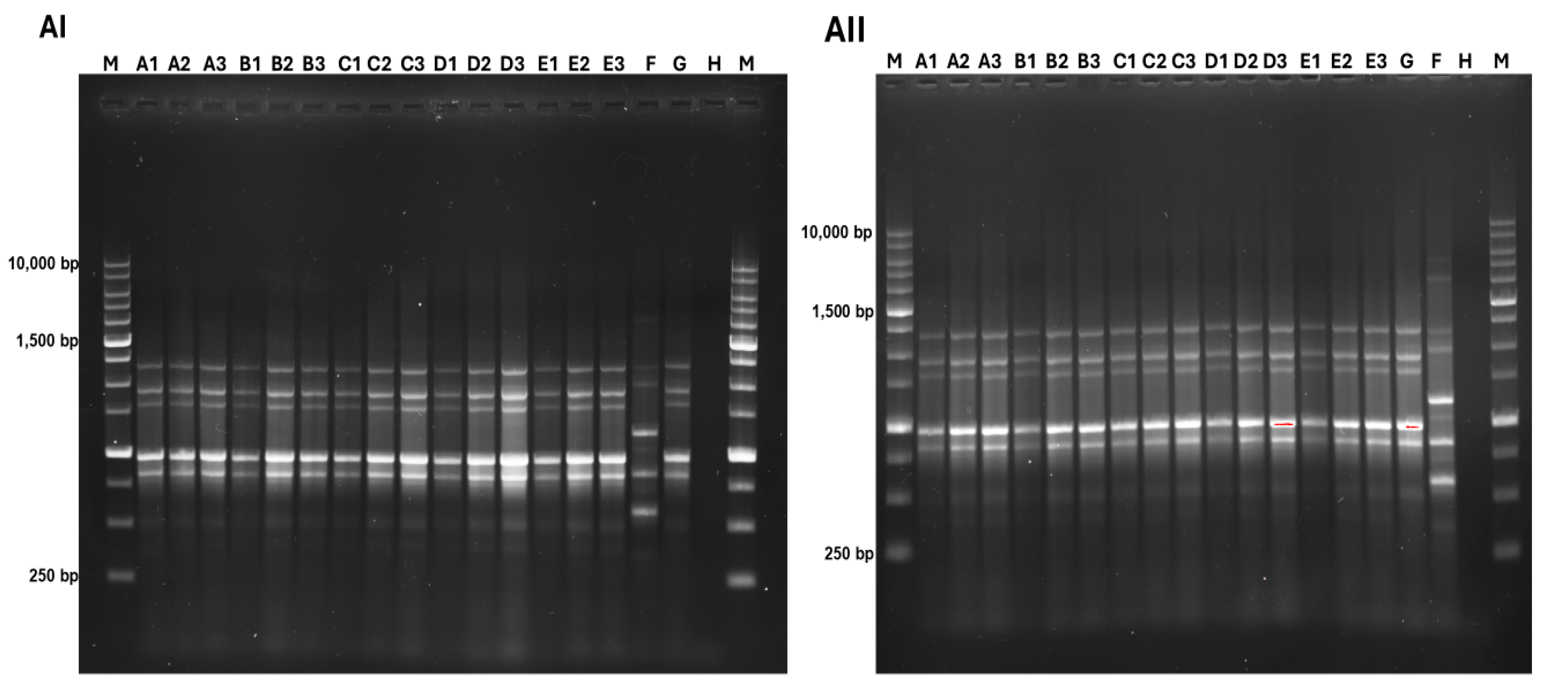 Microbiolres 15 00159 g005 Microbiolres 15 00159 g005