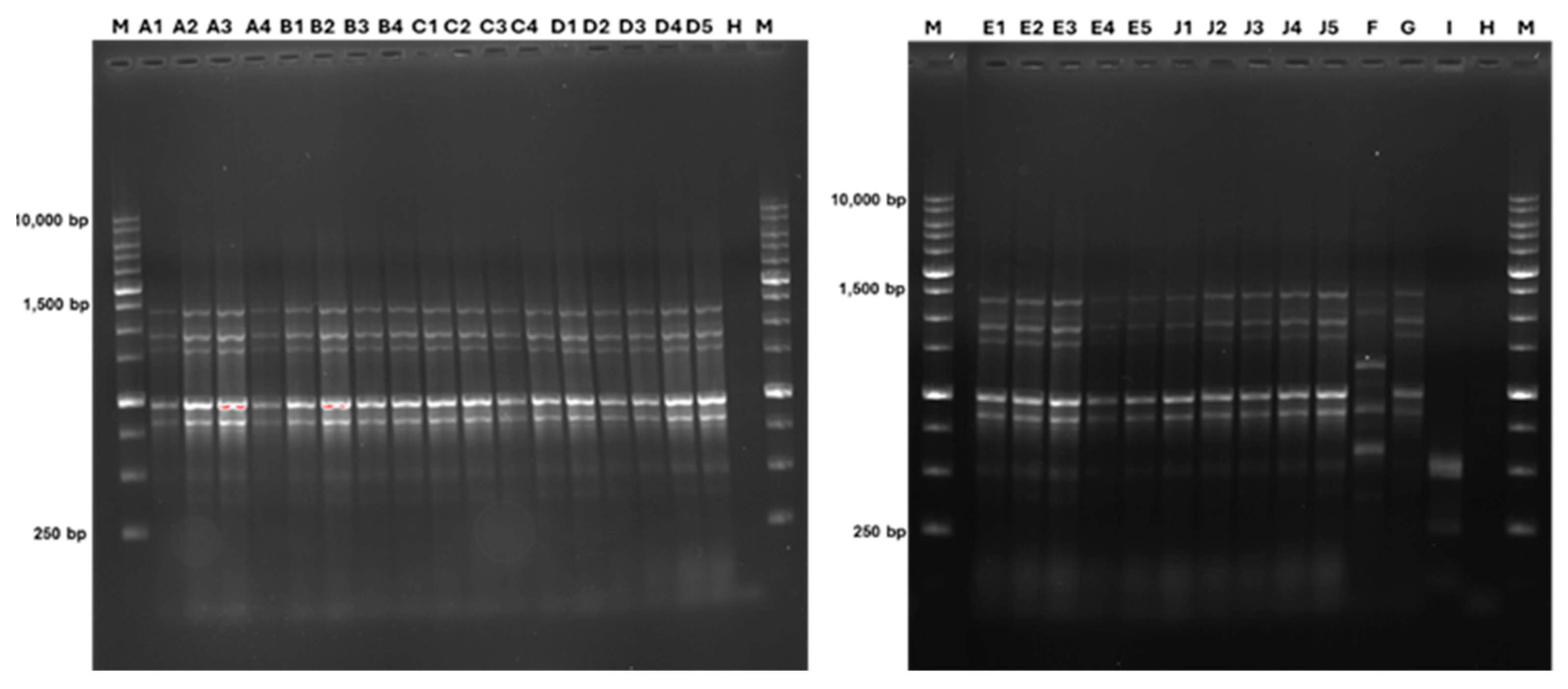 Microbiolres 15 00159 g006 Microbiolres 15 00159 g006