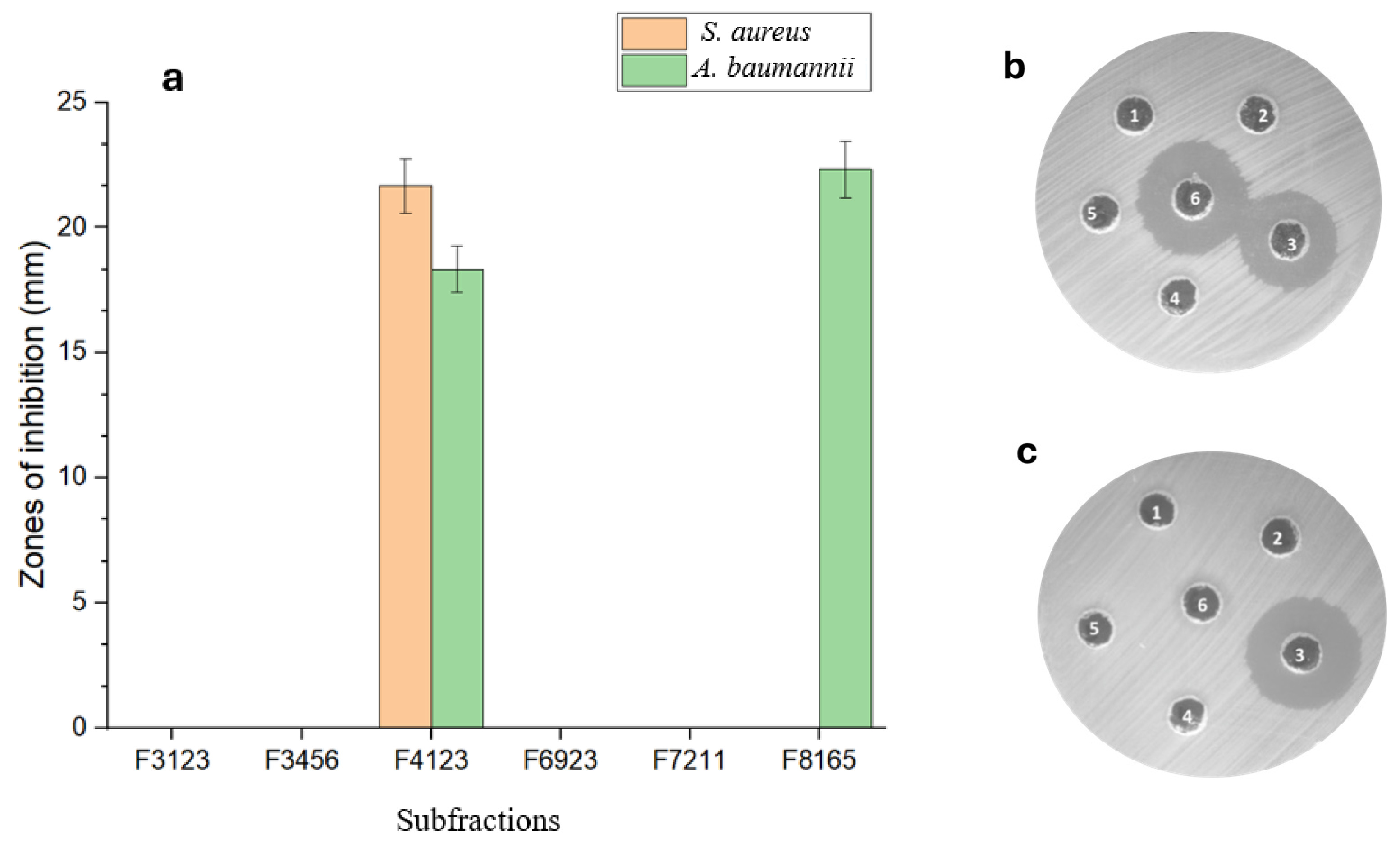 Microbiolres 15 00160 g004