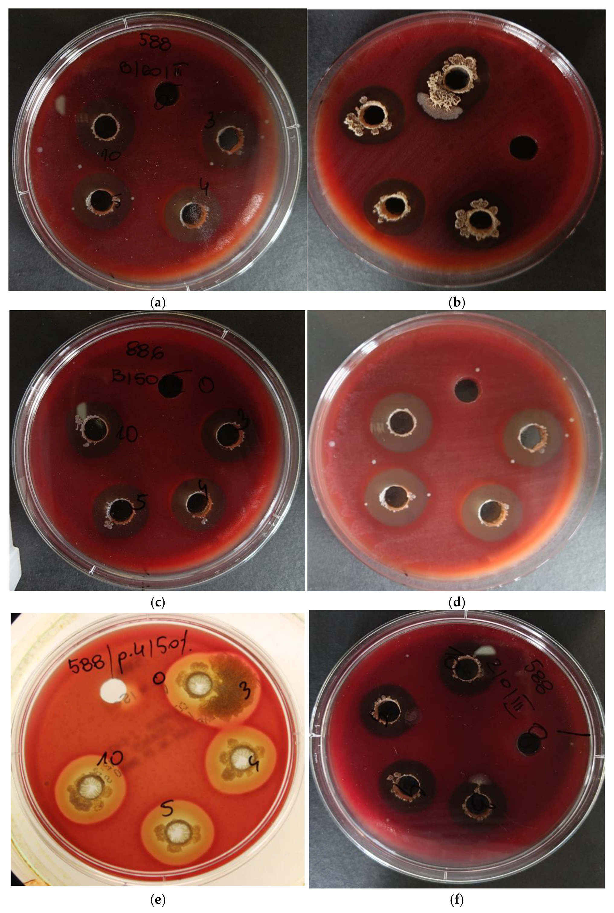 Microbiolres 15 00161 g001