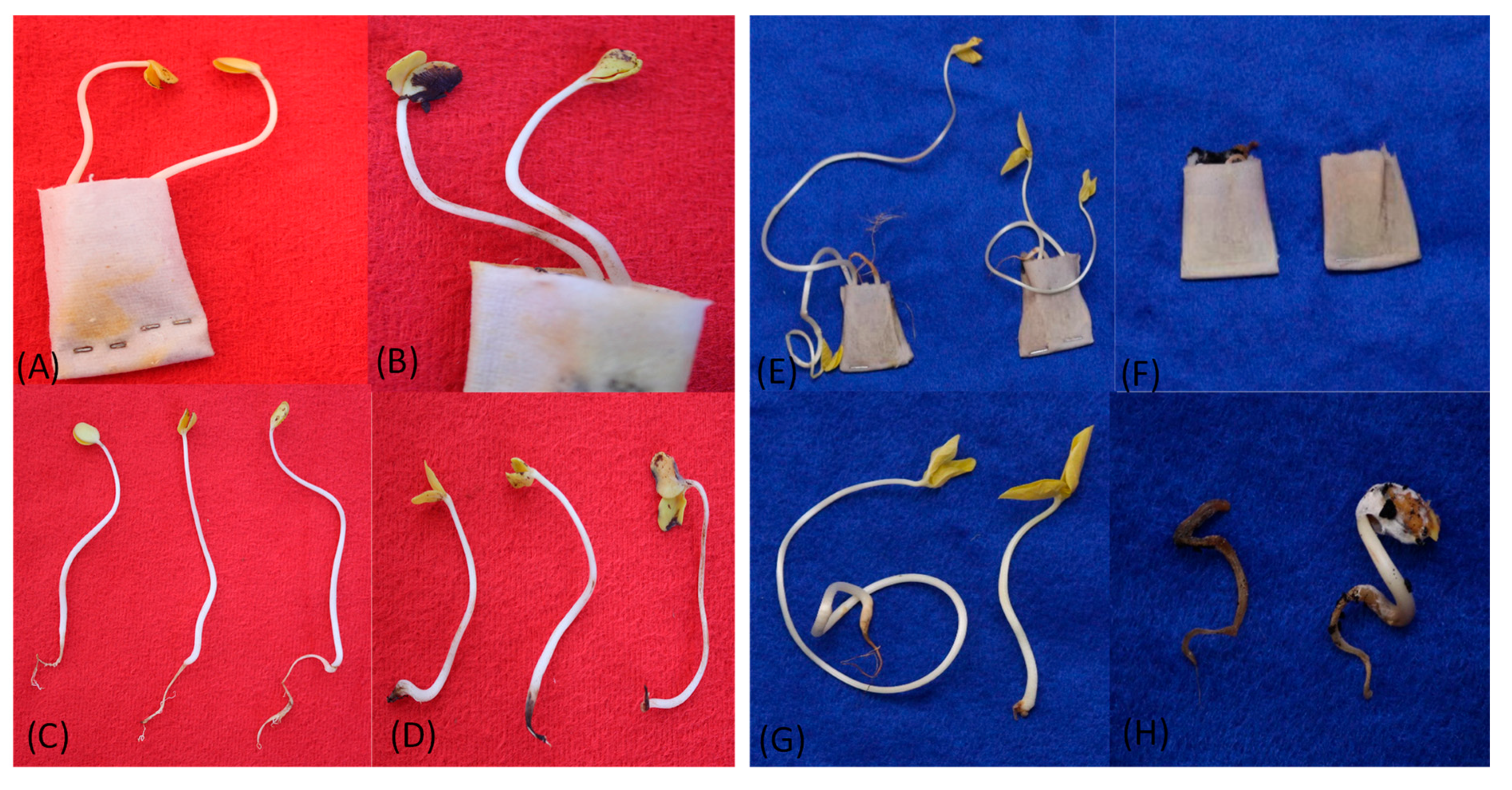 Microbiolres 15 00168 g002