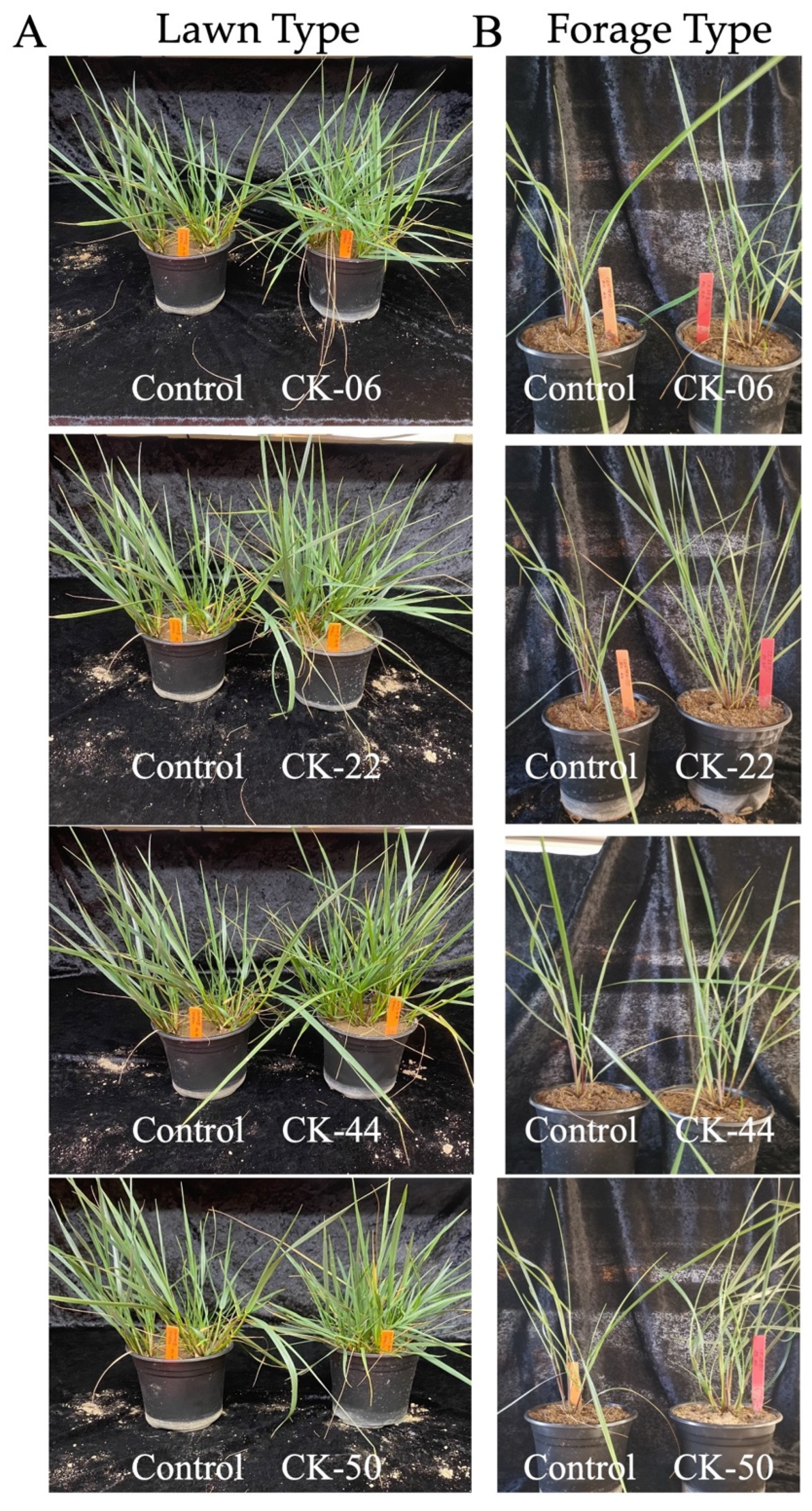 Microbiolres 15 00173 g001
