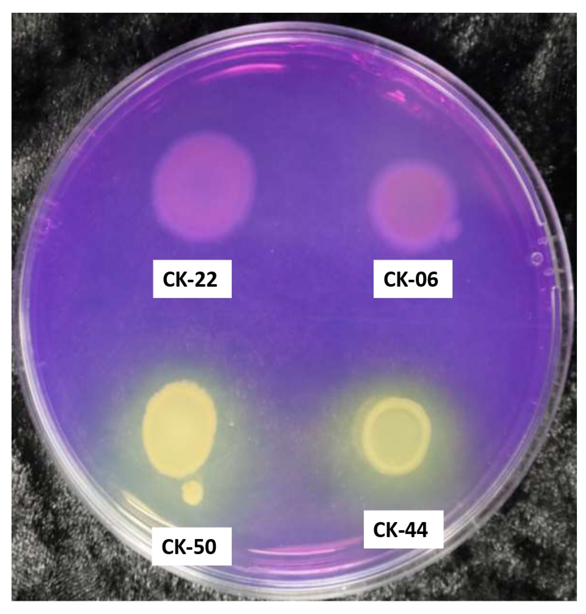 Microbiolres 15 00173 g002