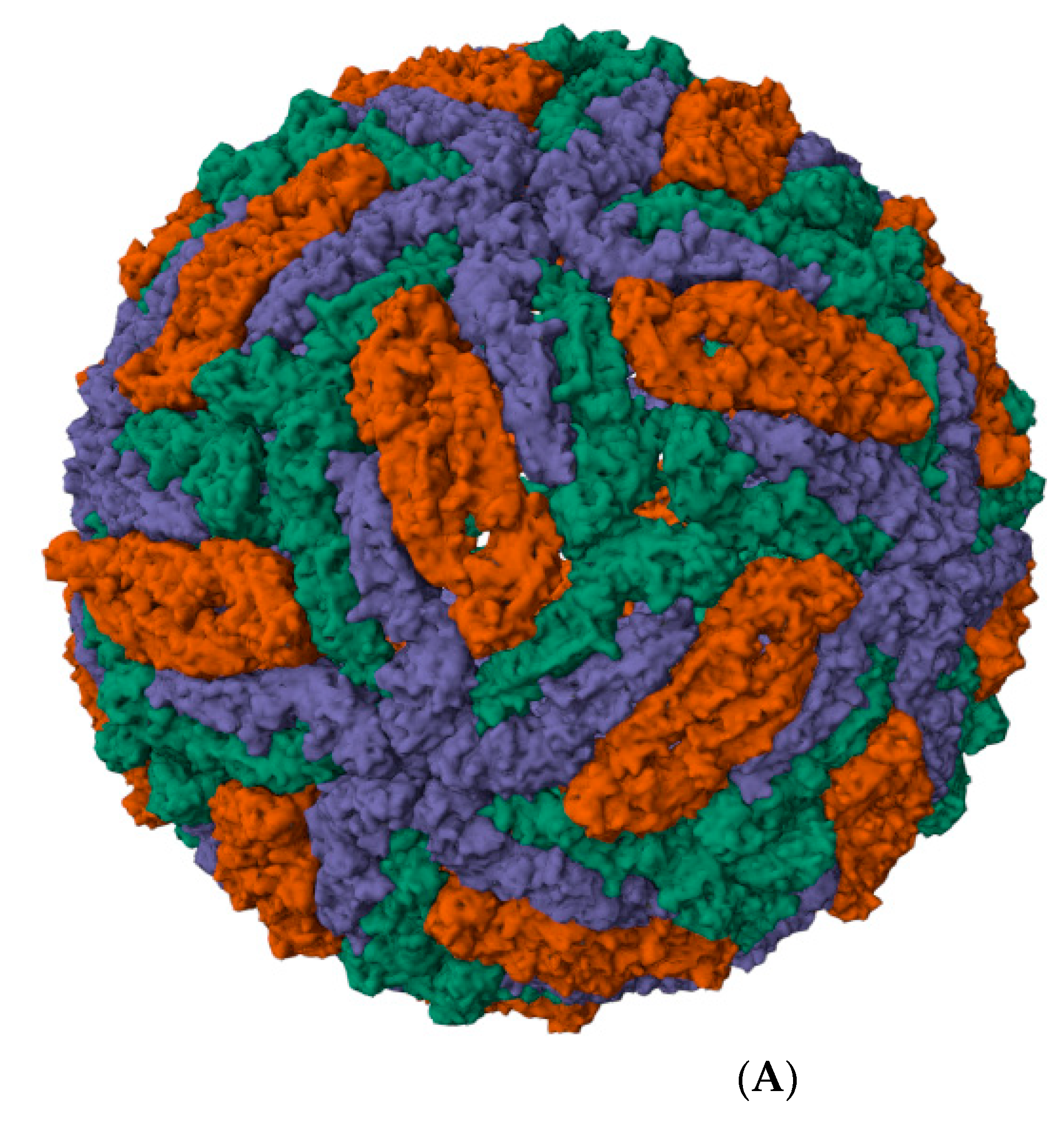 Microbiolres 15 00174 g001a Microbiolres 15 00174 g001a