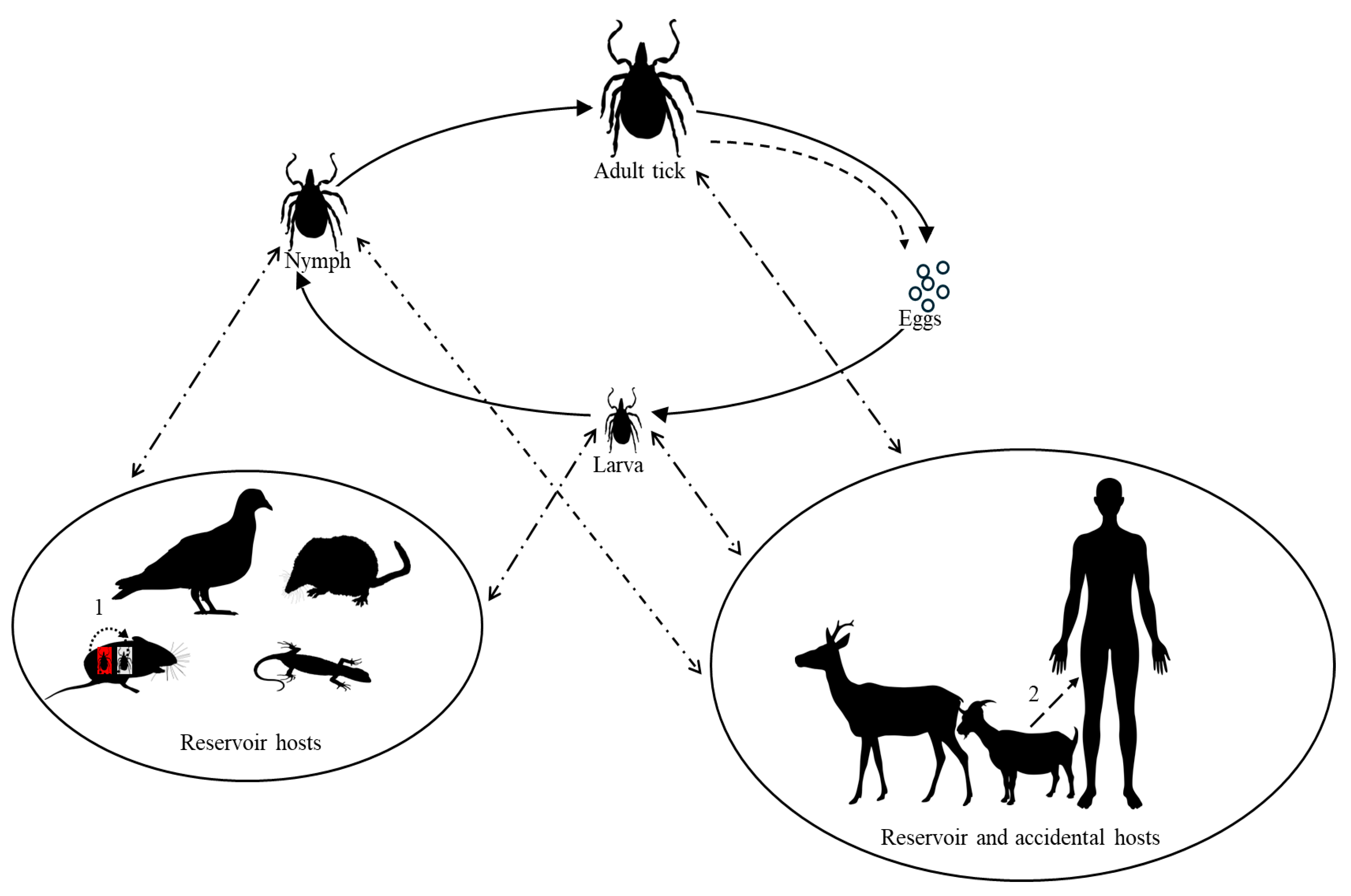 Microbiolres 15 00174 g003 Microbiolres 15 00174 g003