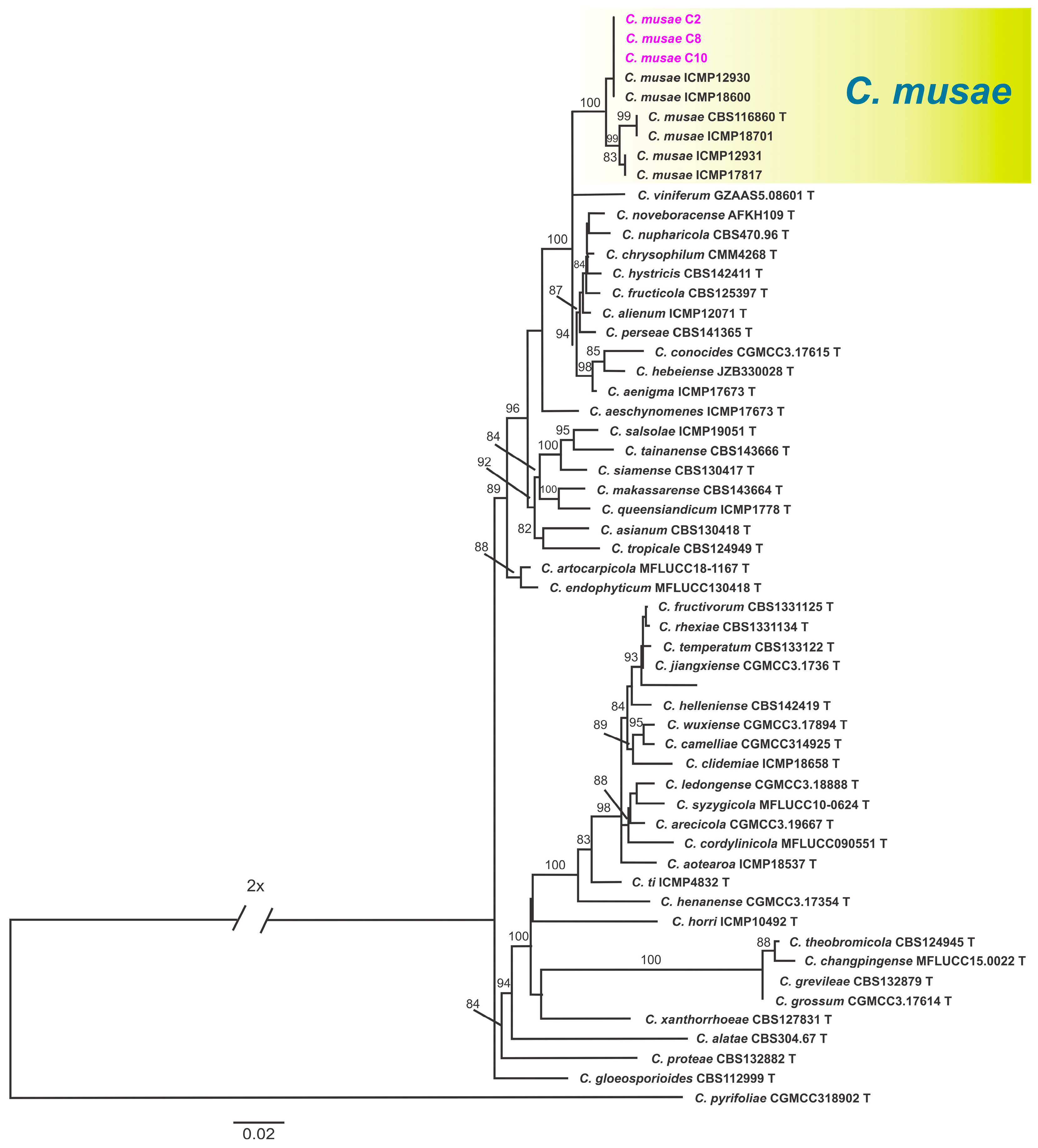 Microbiolres 16 00004 g007