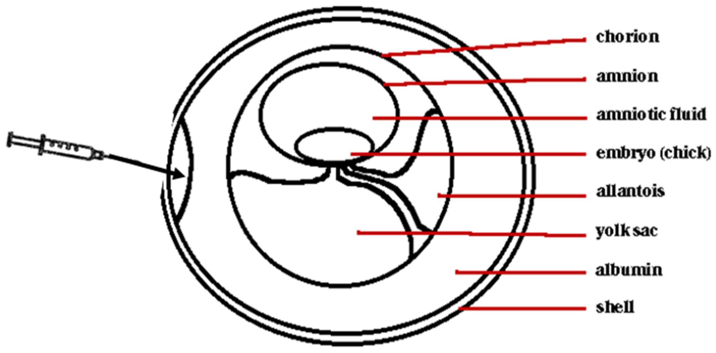 Microbiolres 16 00007 g001 Microbiolres 16 00007 g001