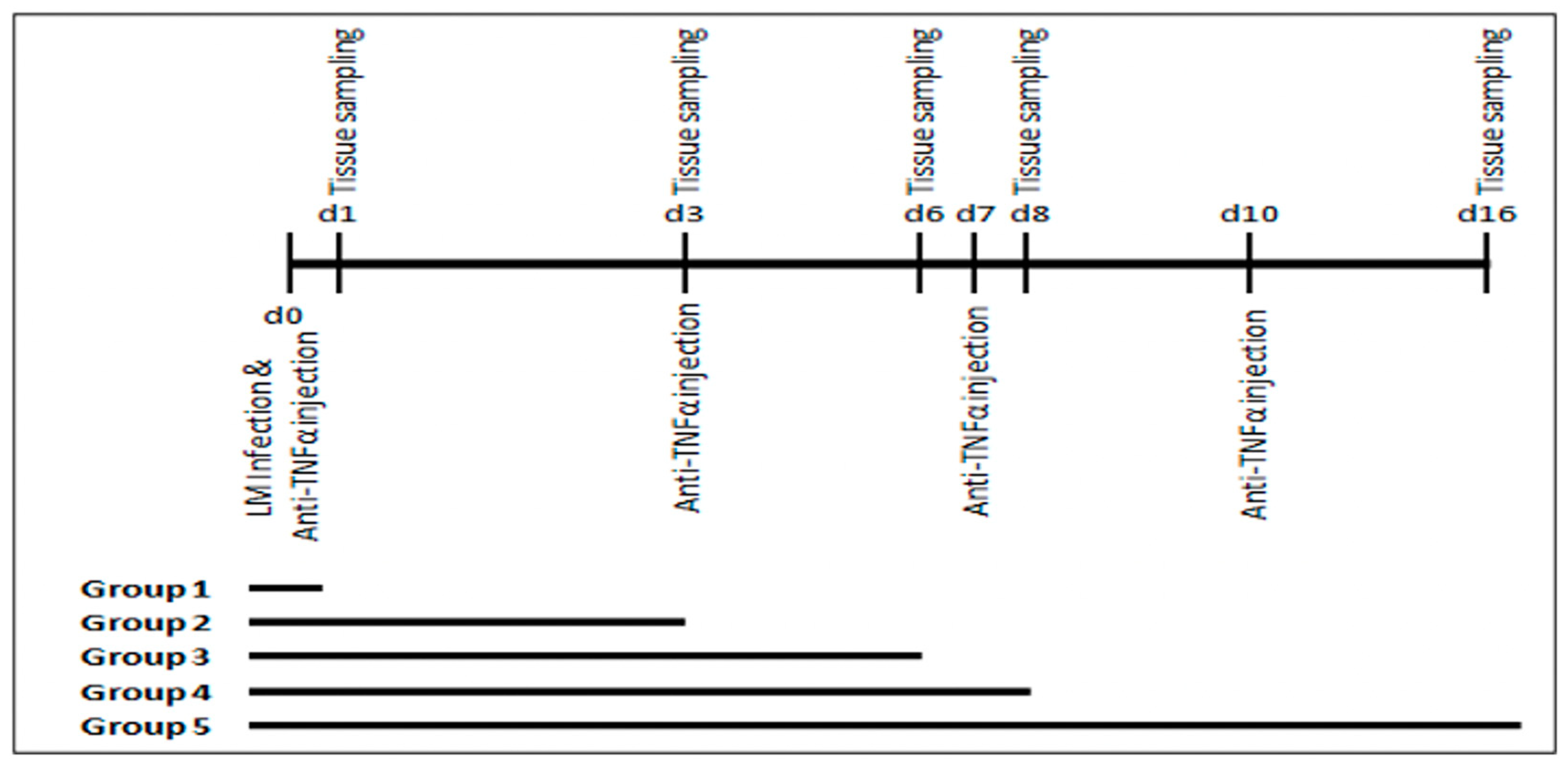 Microbiolres 16 00008 g001 Microbiolres 16 00008 g001