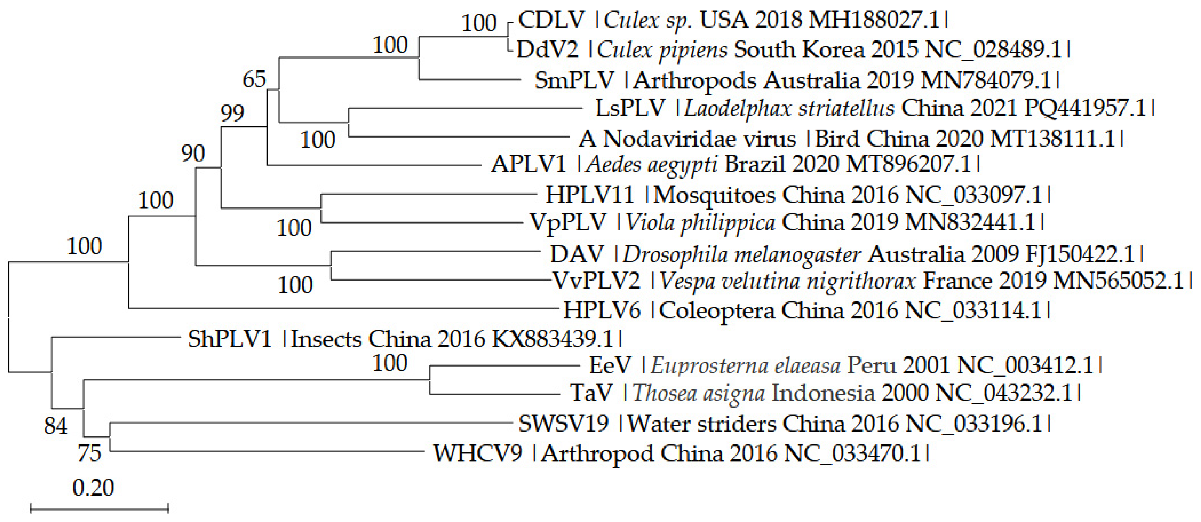 Microbiolres 16 00009 g002