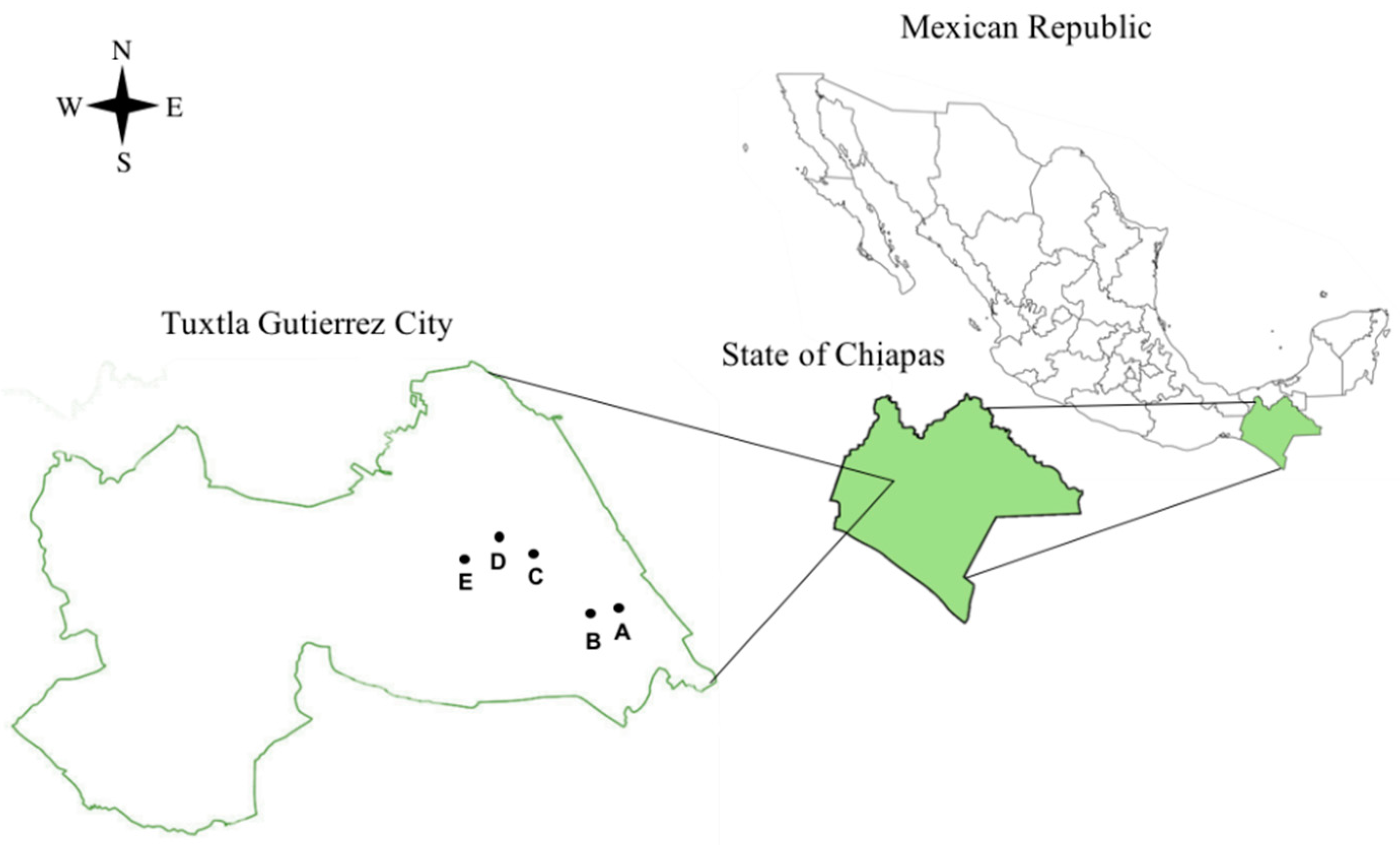 Microbiolres 16 00010 g001