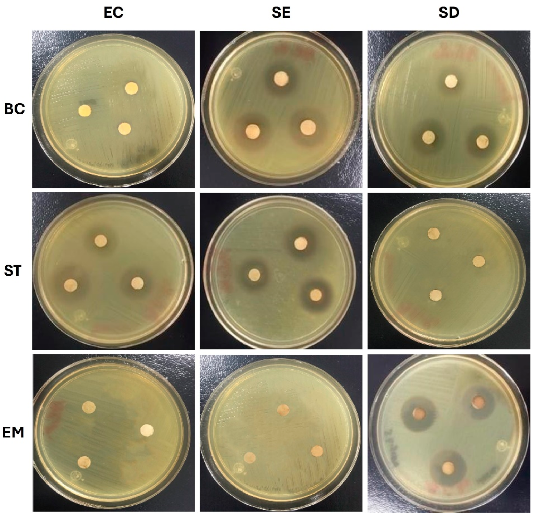 Microbiolres 16 00010 g005