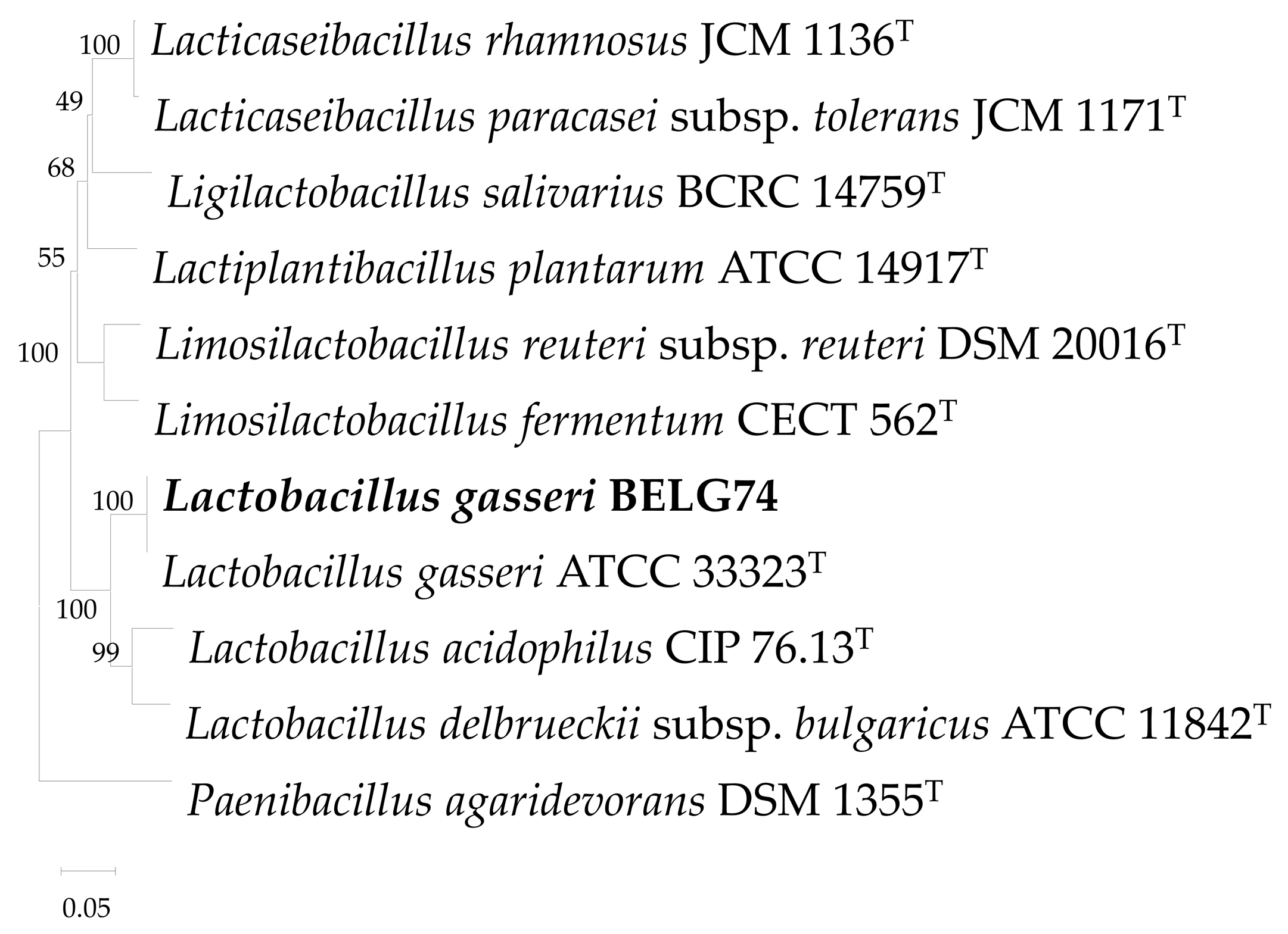 Microbiolres 16 00012 g004