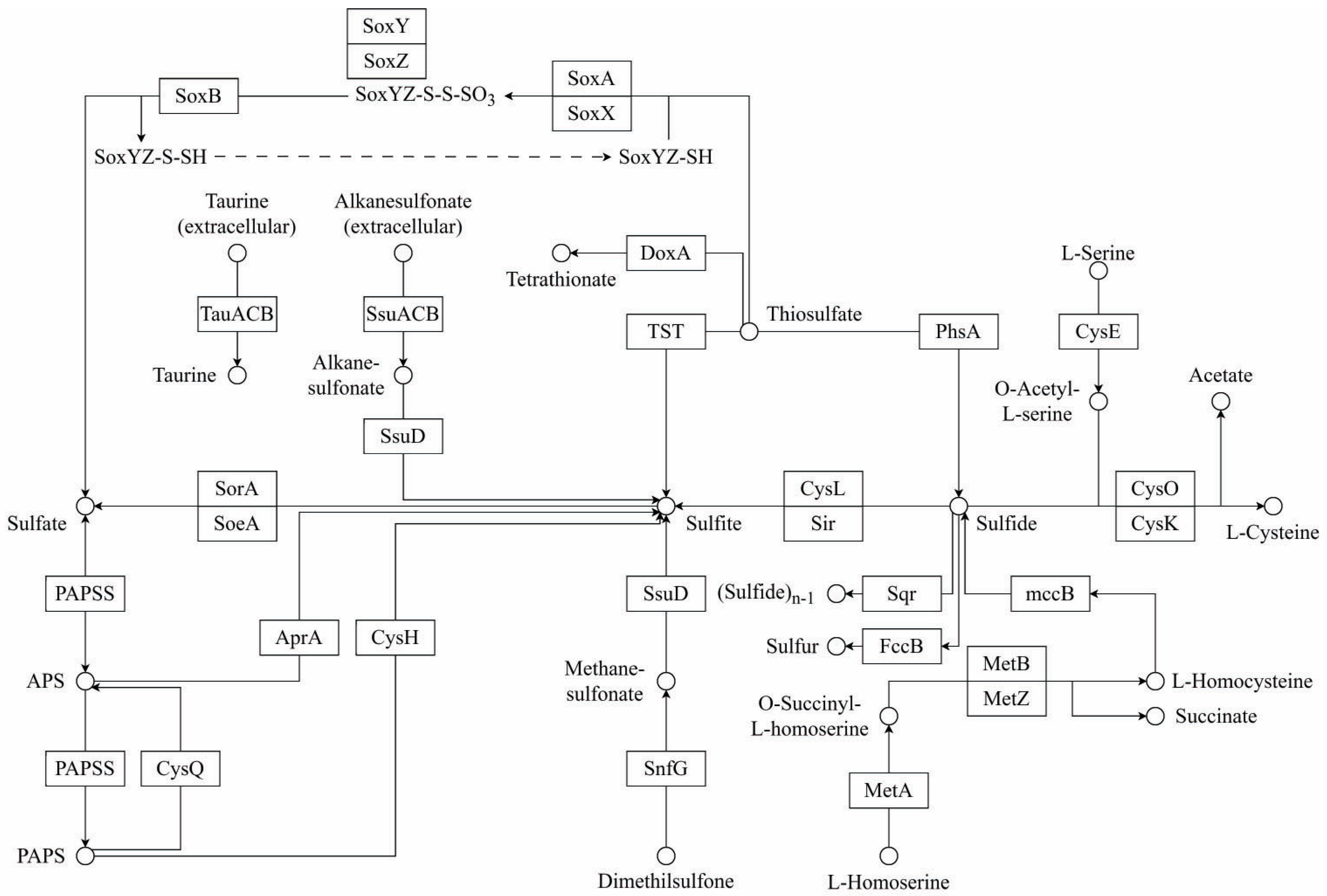 Microbiolres 16 00014 g009