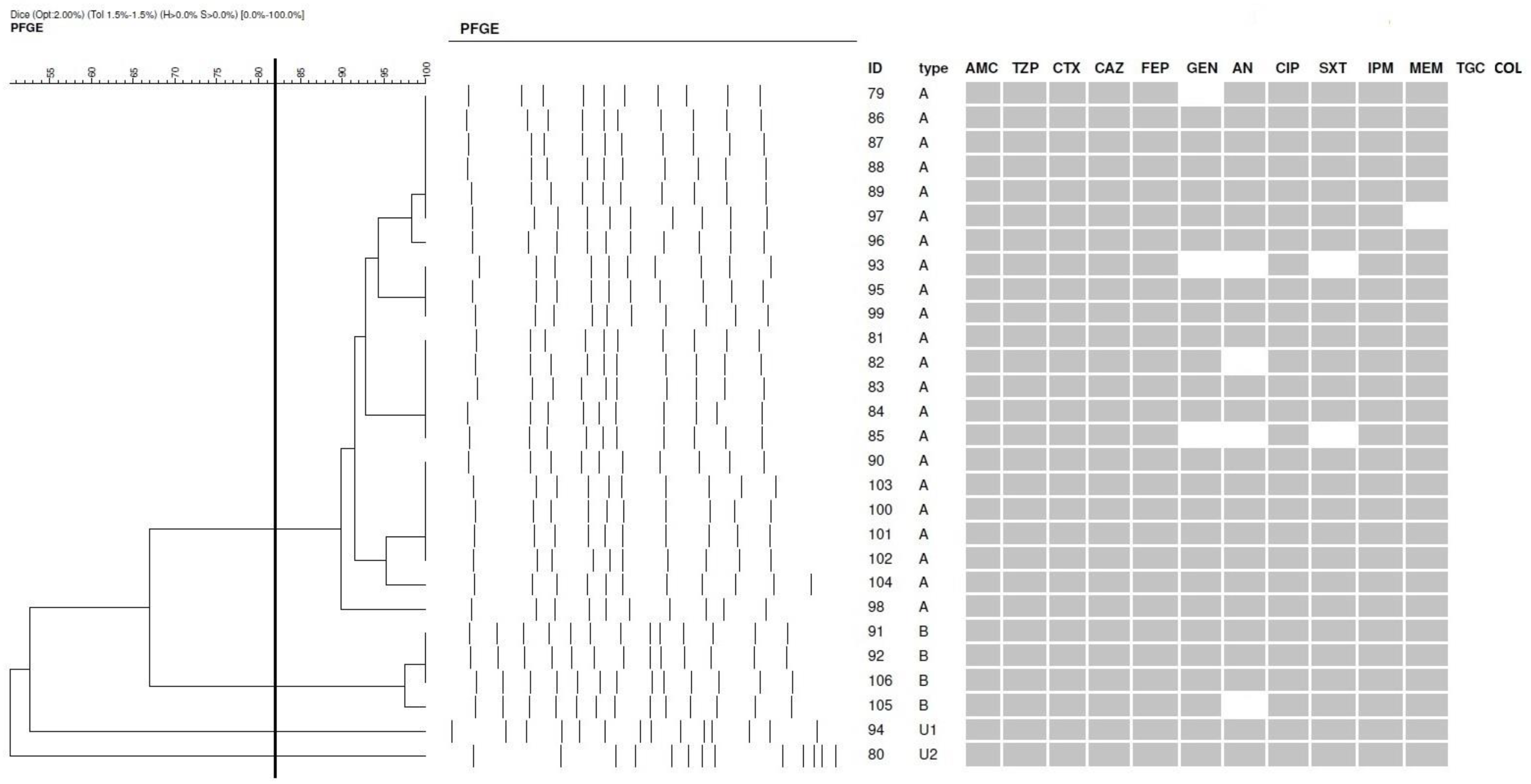 Microbiolres 16 00017 g001