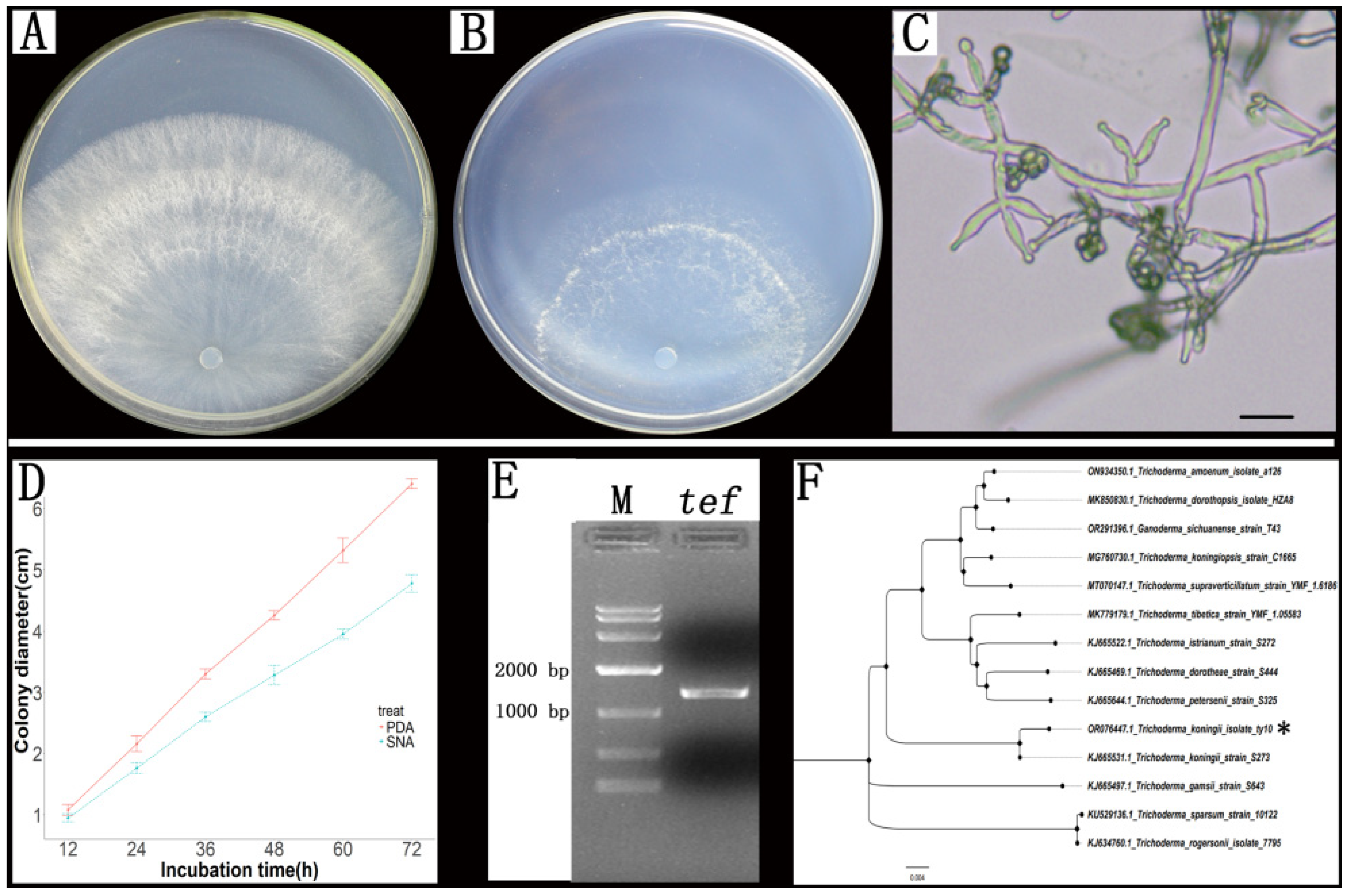 Microbiolres 16 00018 g001
