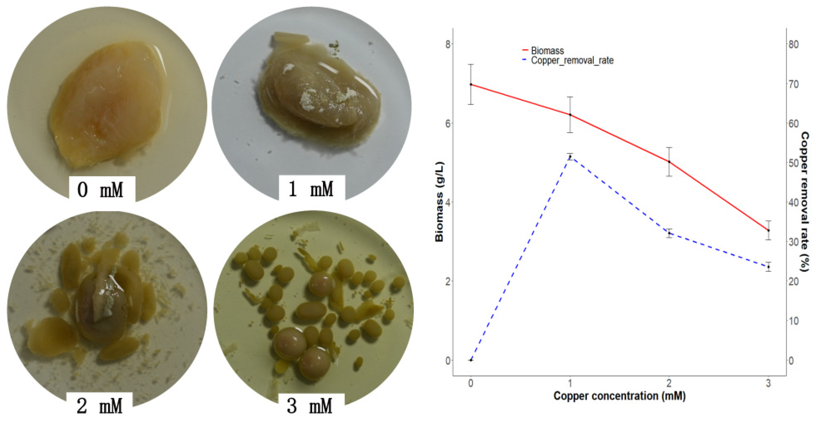 Microbiolres 16 00018 g003