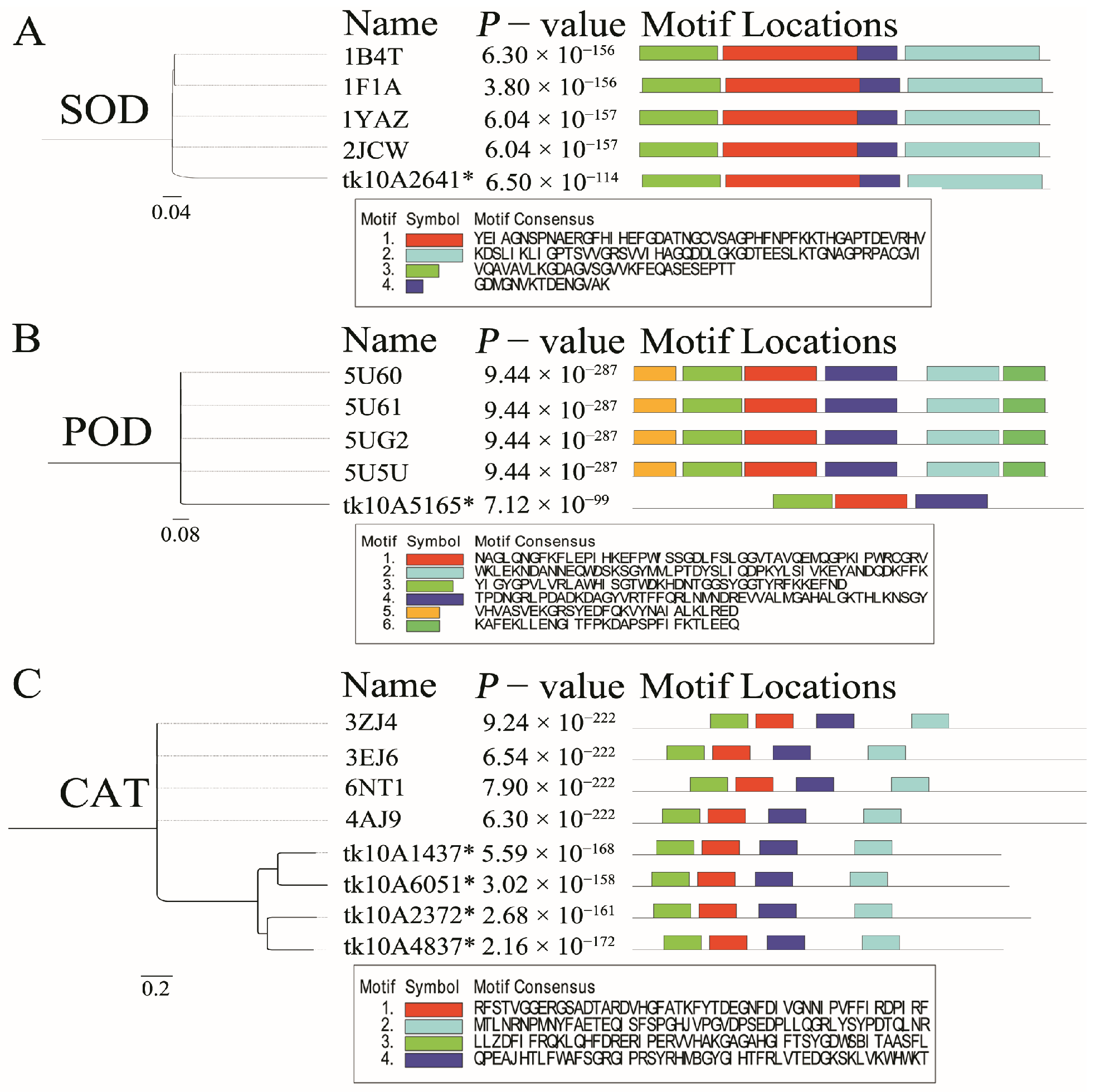 Microbiolres 16 00018 g006