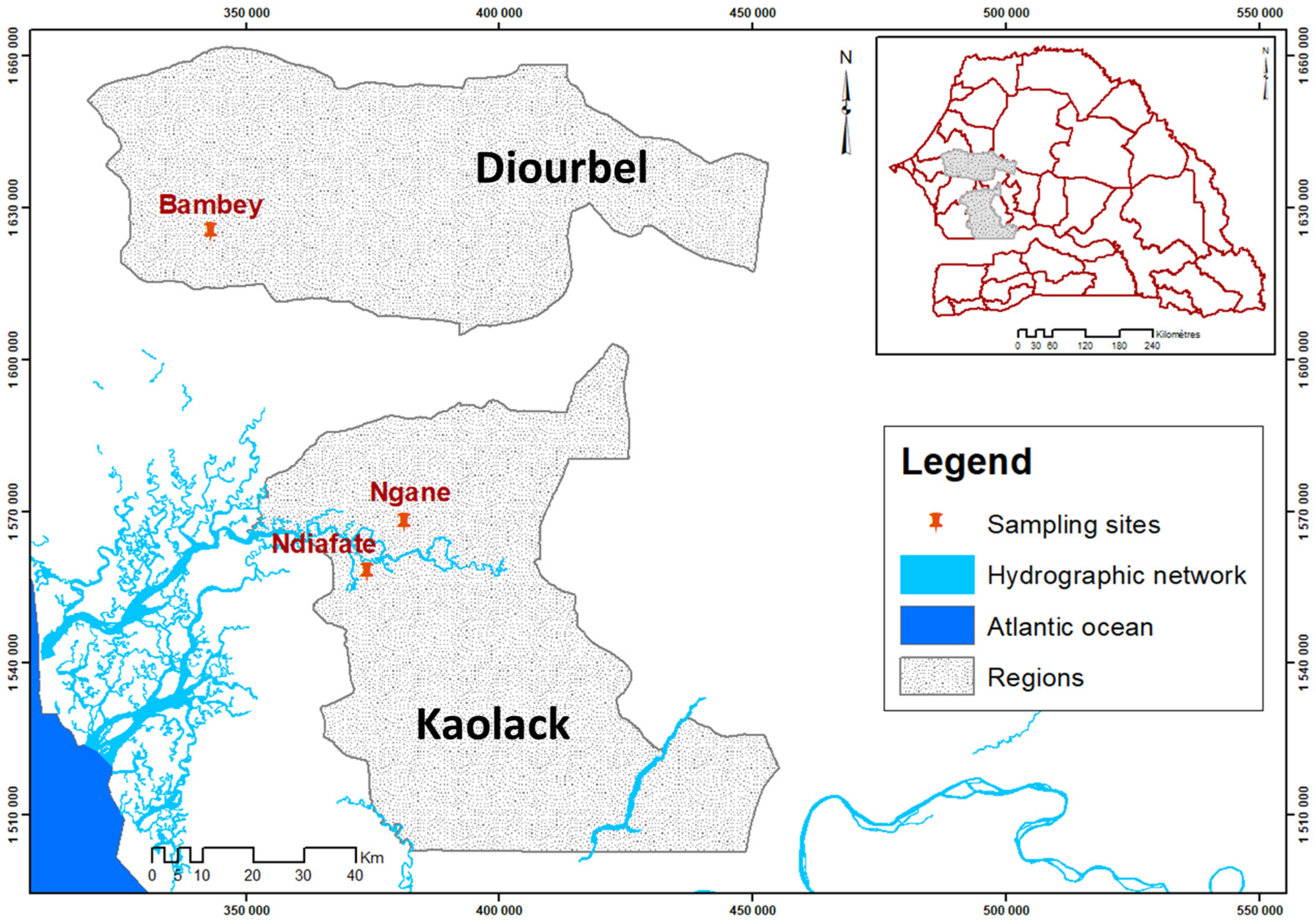 Microbiolres 16 00019 g001 Microbiolres 16 00019 g001
