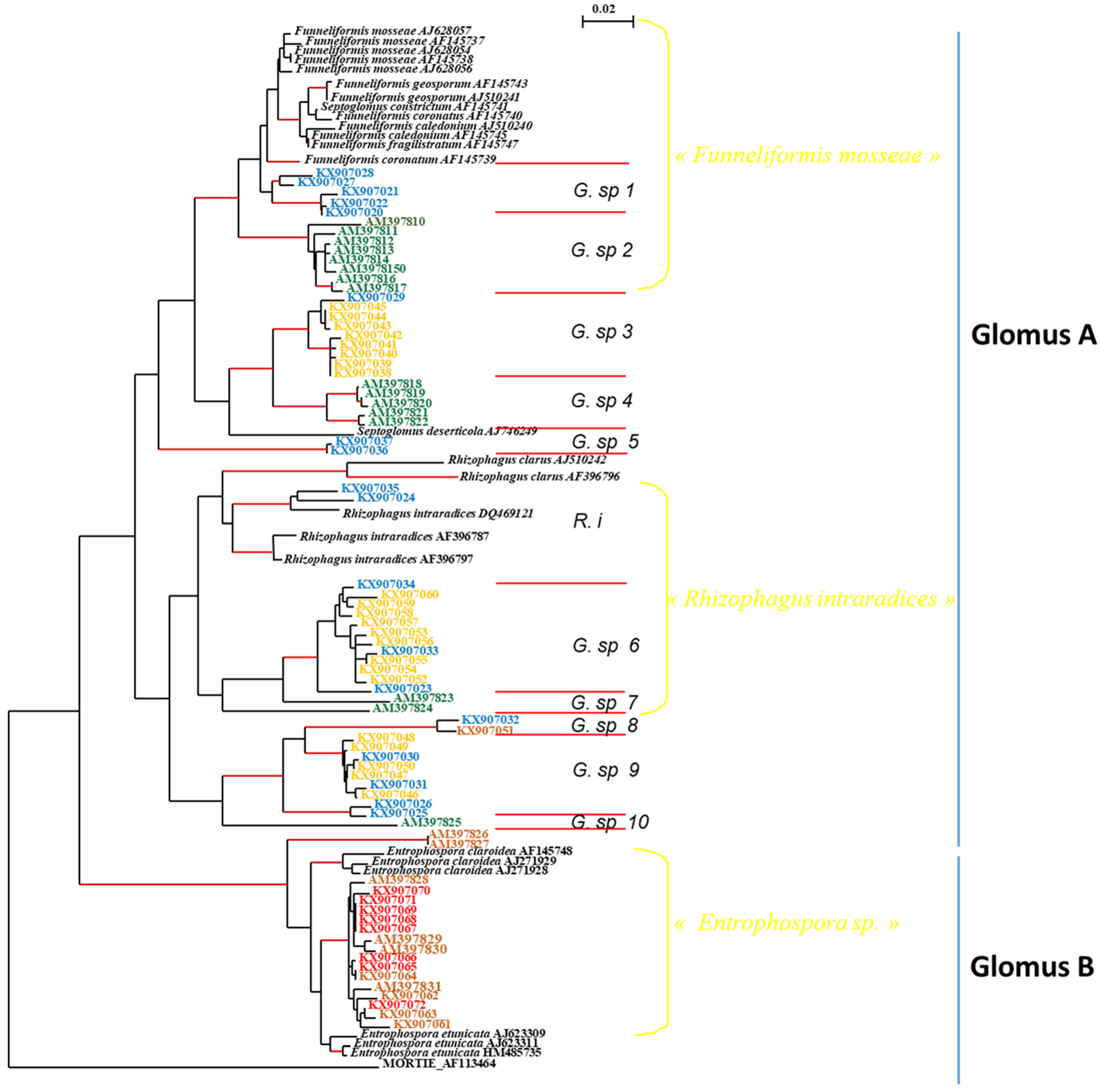 Microbiolres 16 00019 g003 Microbiolres 16 00019 g003