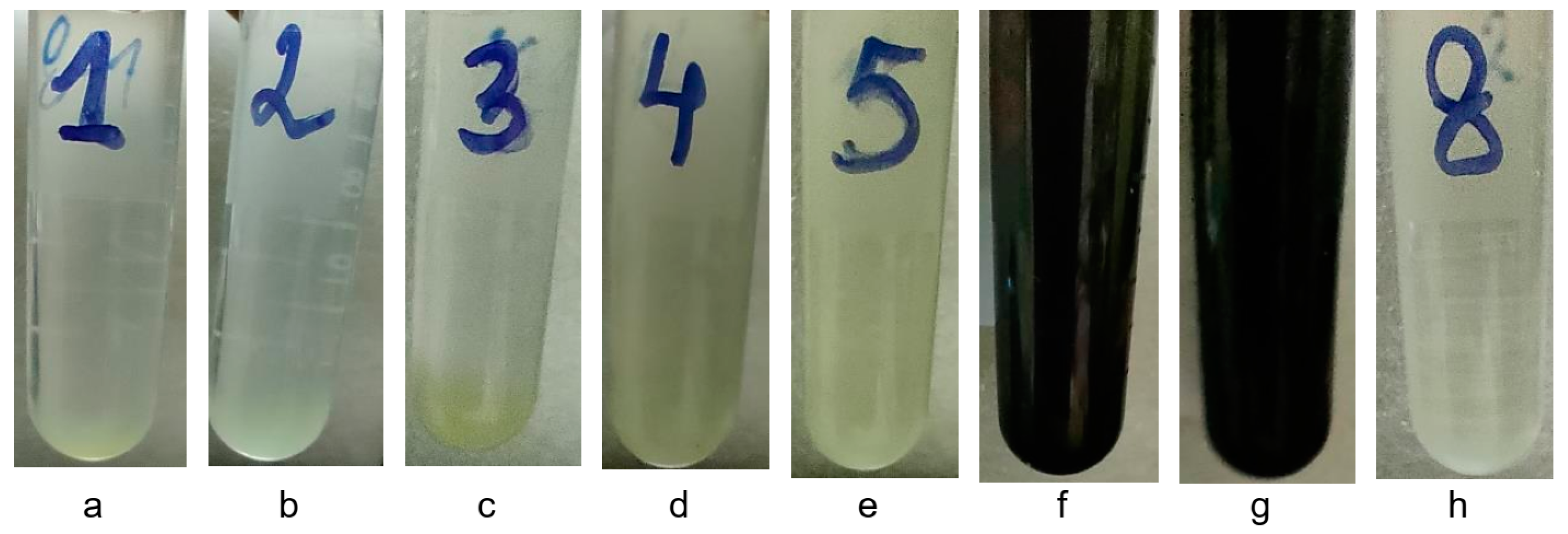 Microbiolres 16 00021 g005 Microbiolres 16 00021 g005