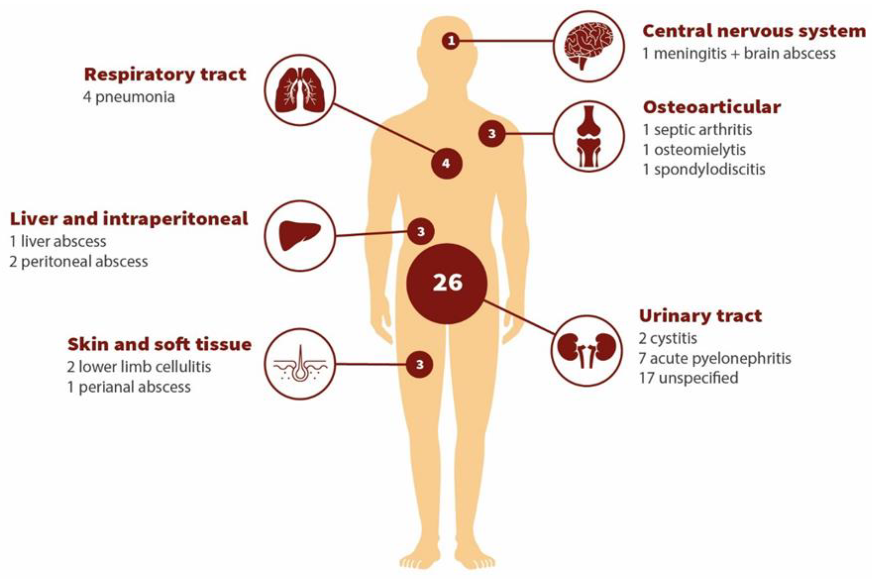 Microbiolres 16 00029 g004