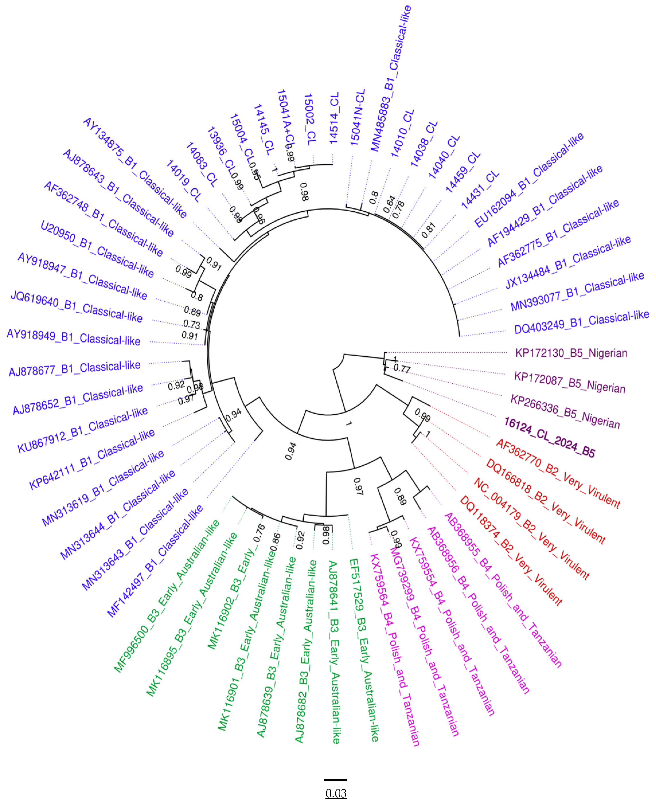 Microbiolres 16 00031 g004