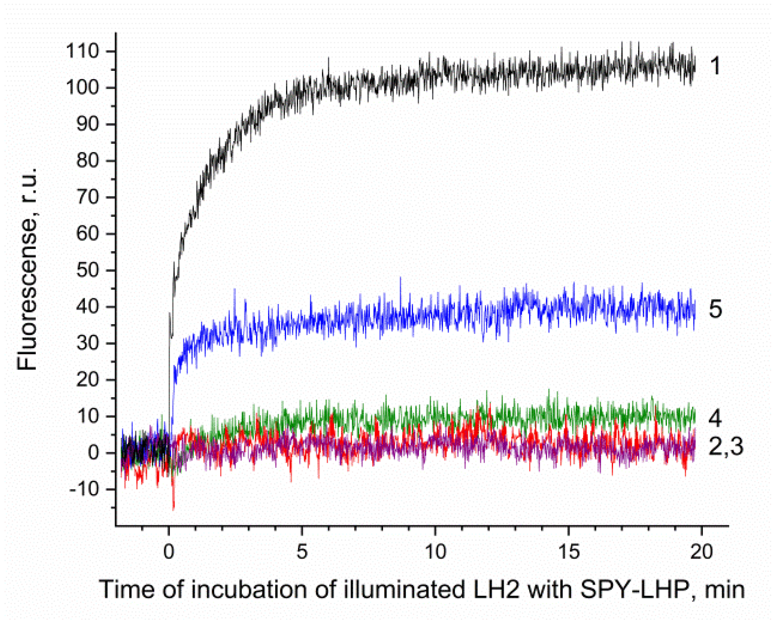 Microbiolres 16 00036 g006