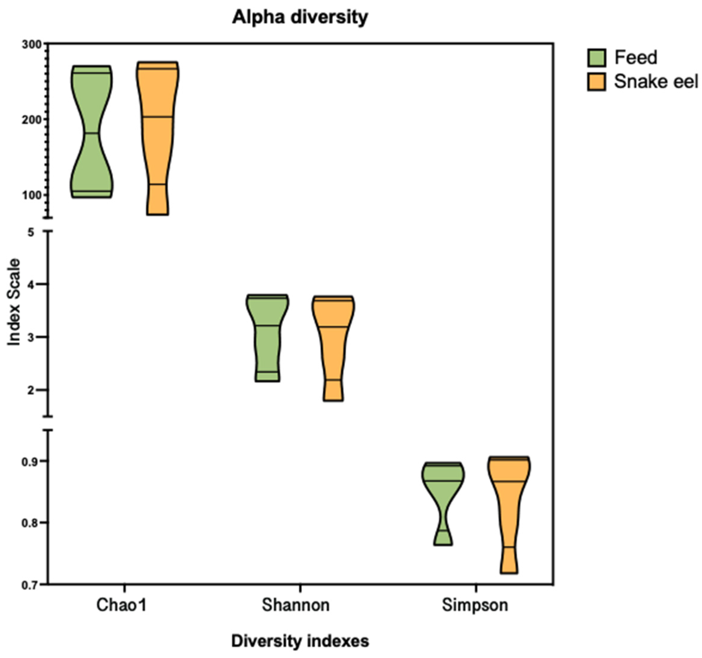 Microbiolres 16 00038 g004