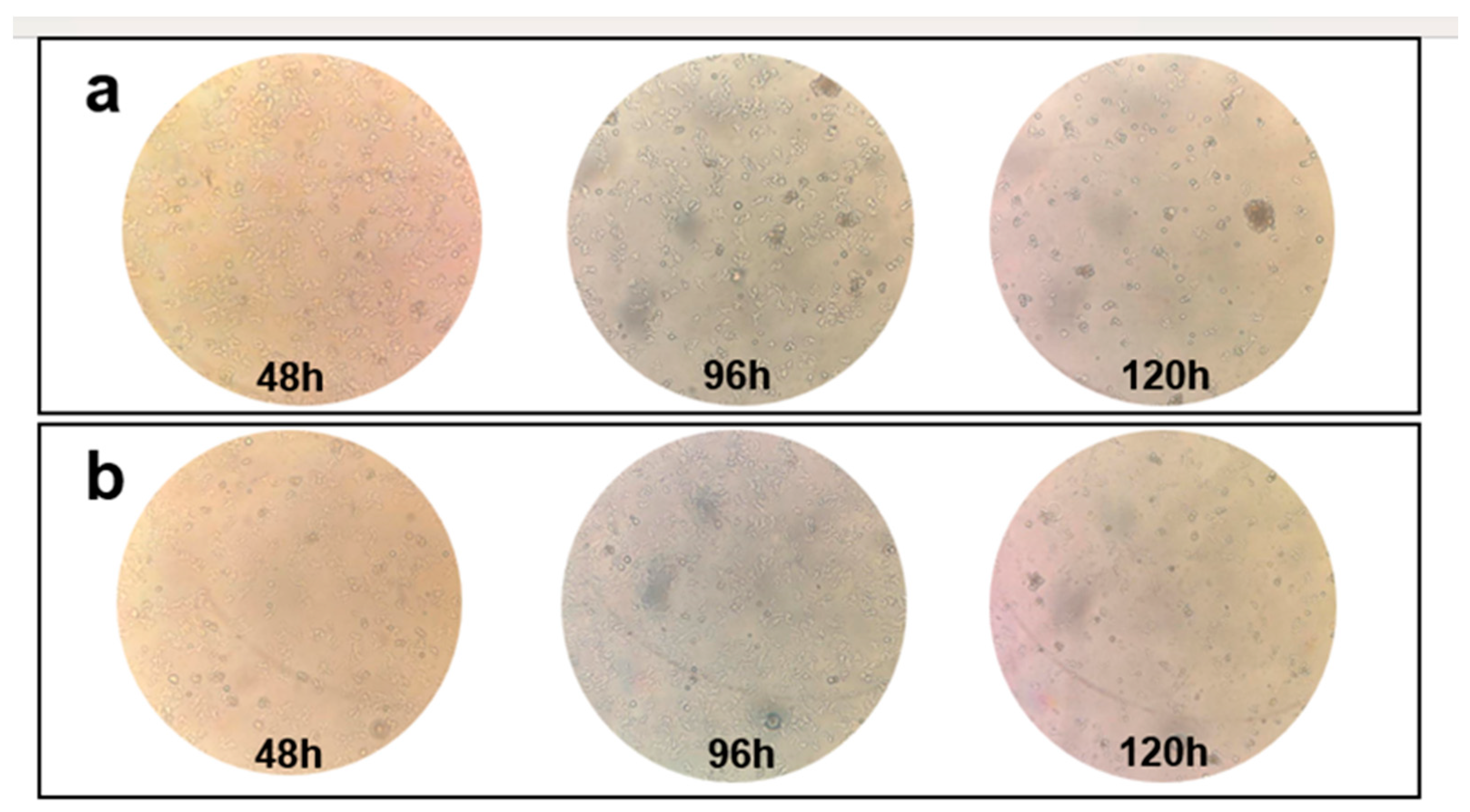 Microbiolres 16 00040 g001