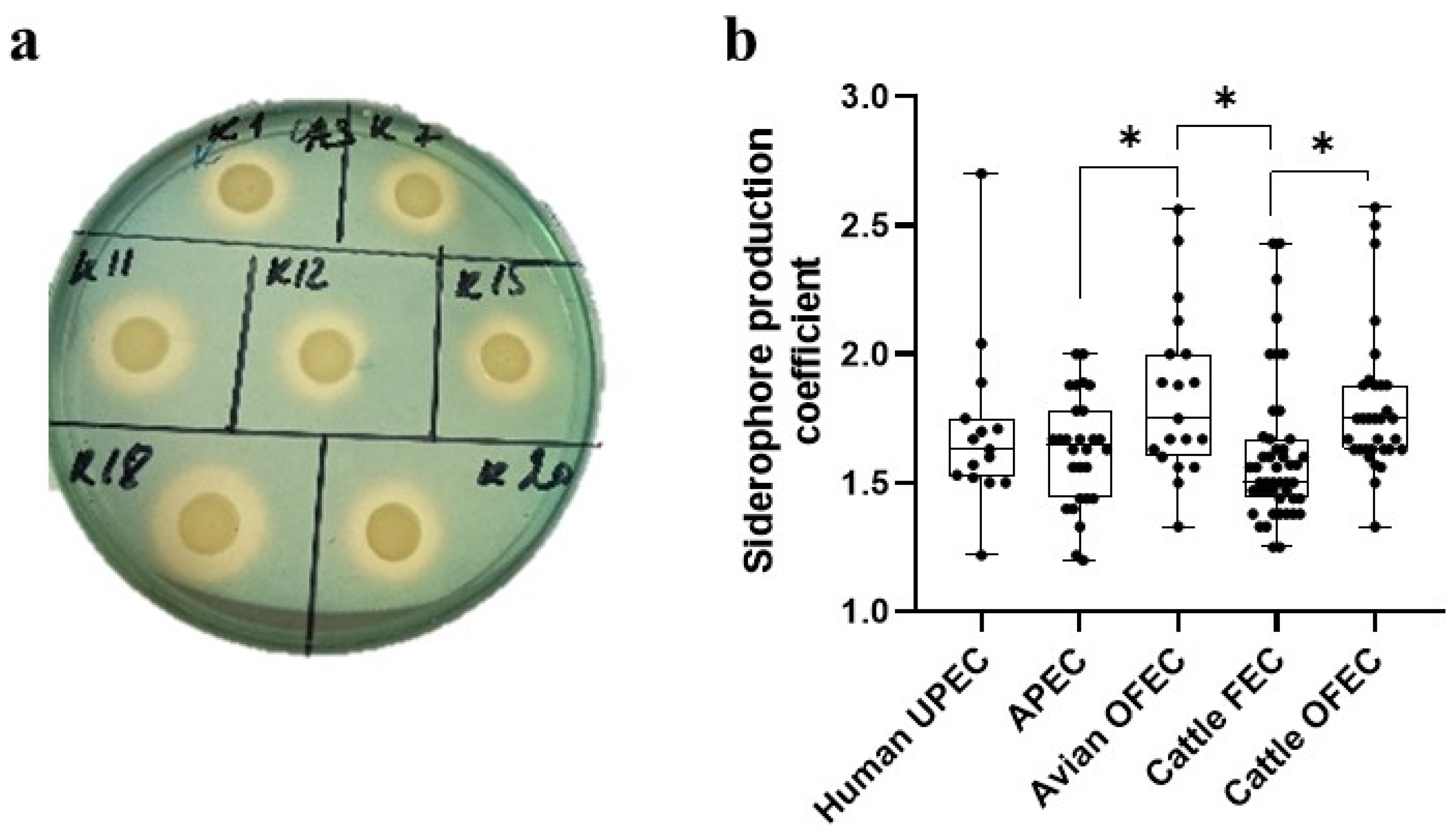 Microbiolres 16 00050 g001 Microbiolres 16 00050 g001