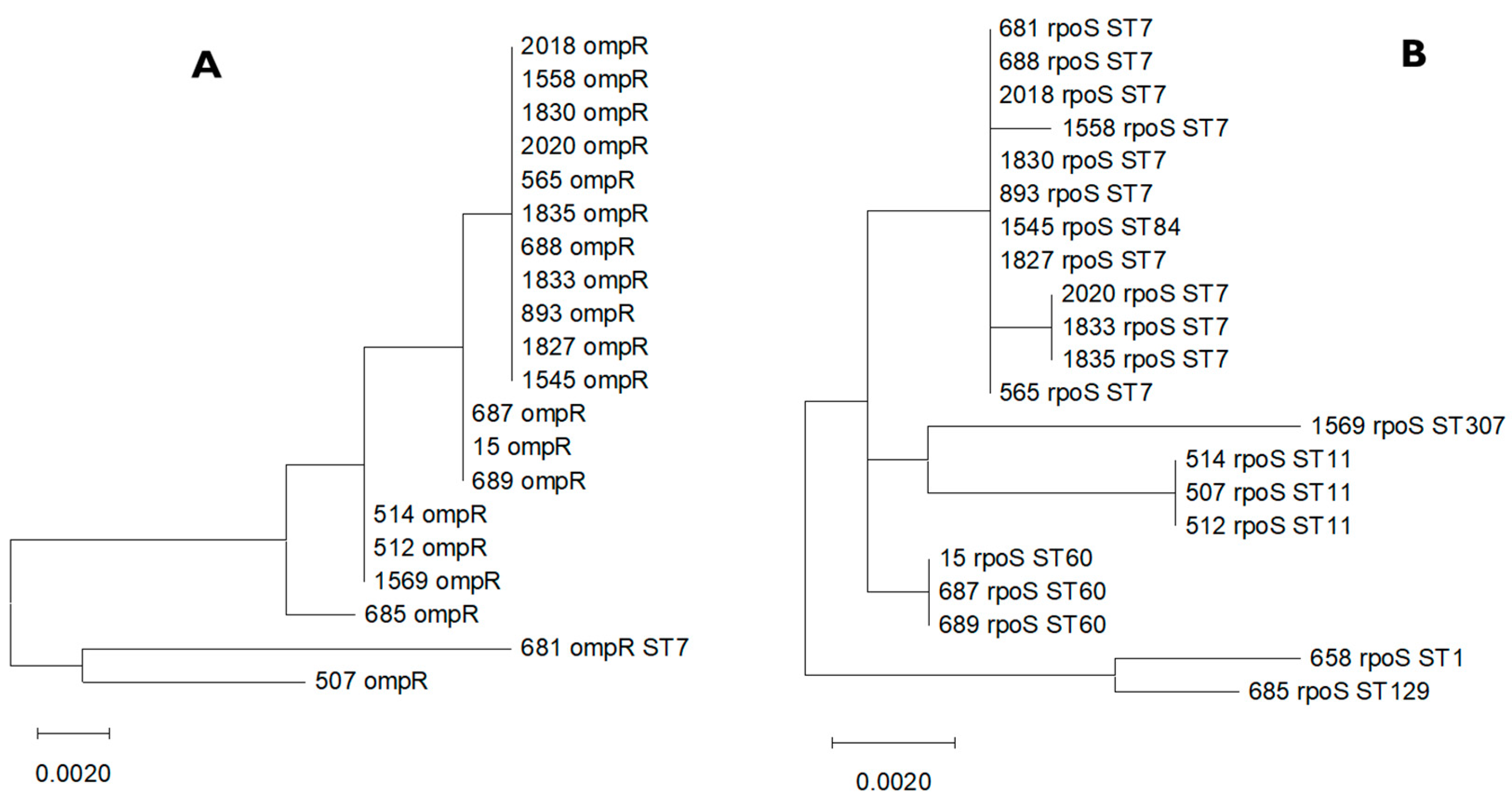 Microbiolres 16 00053 g001