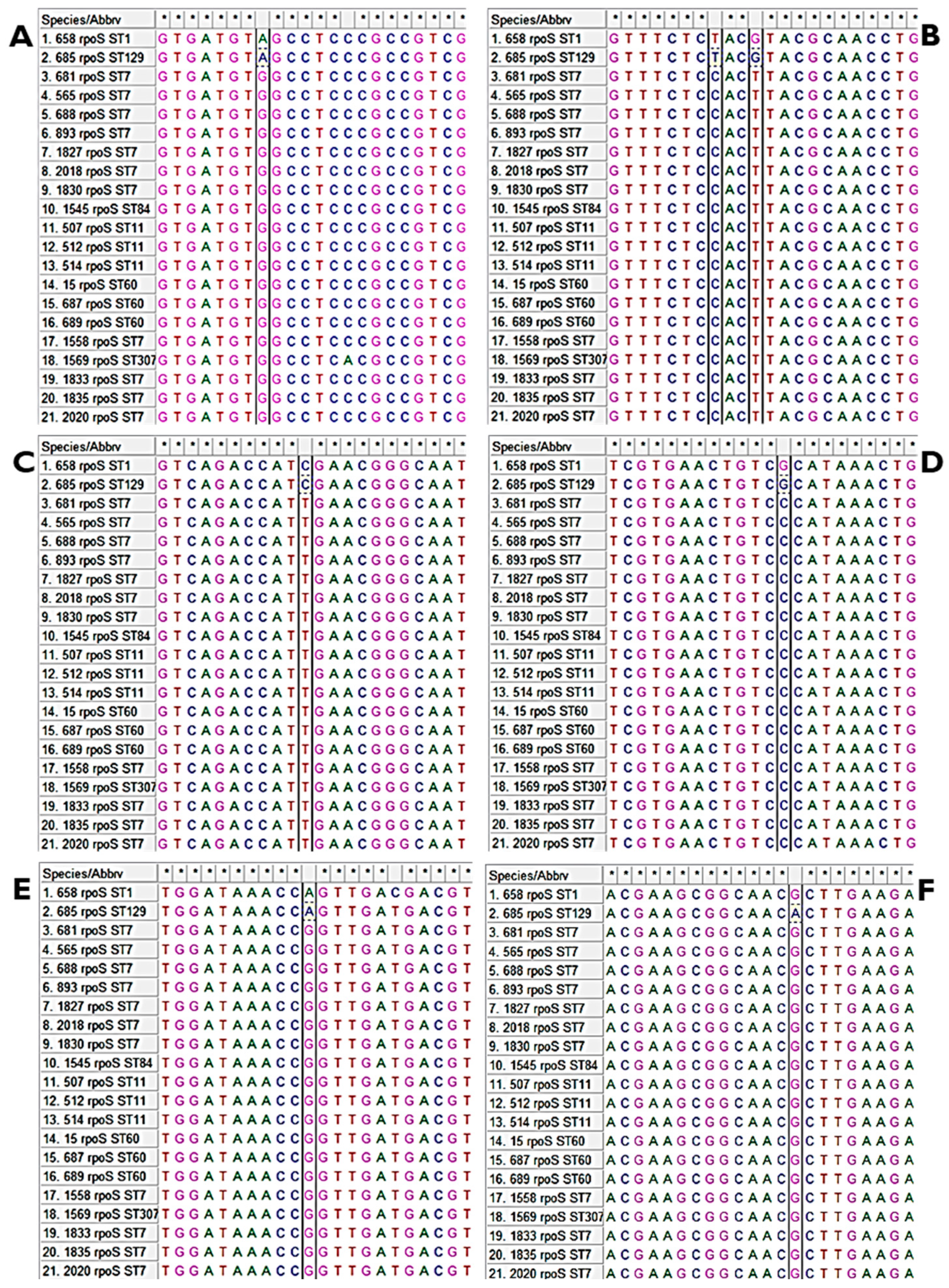 Microbiolres 16 00053 g003